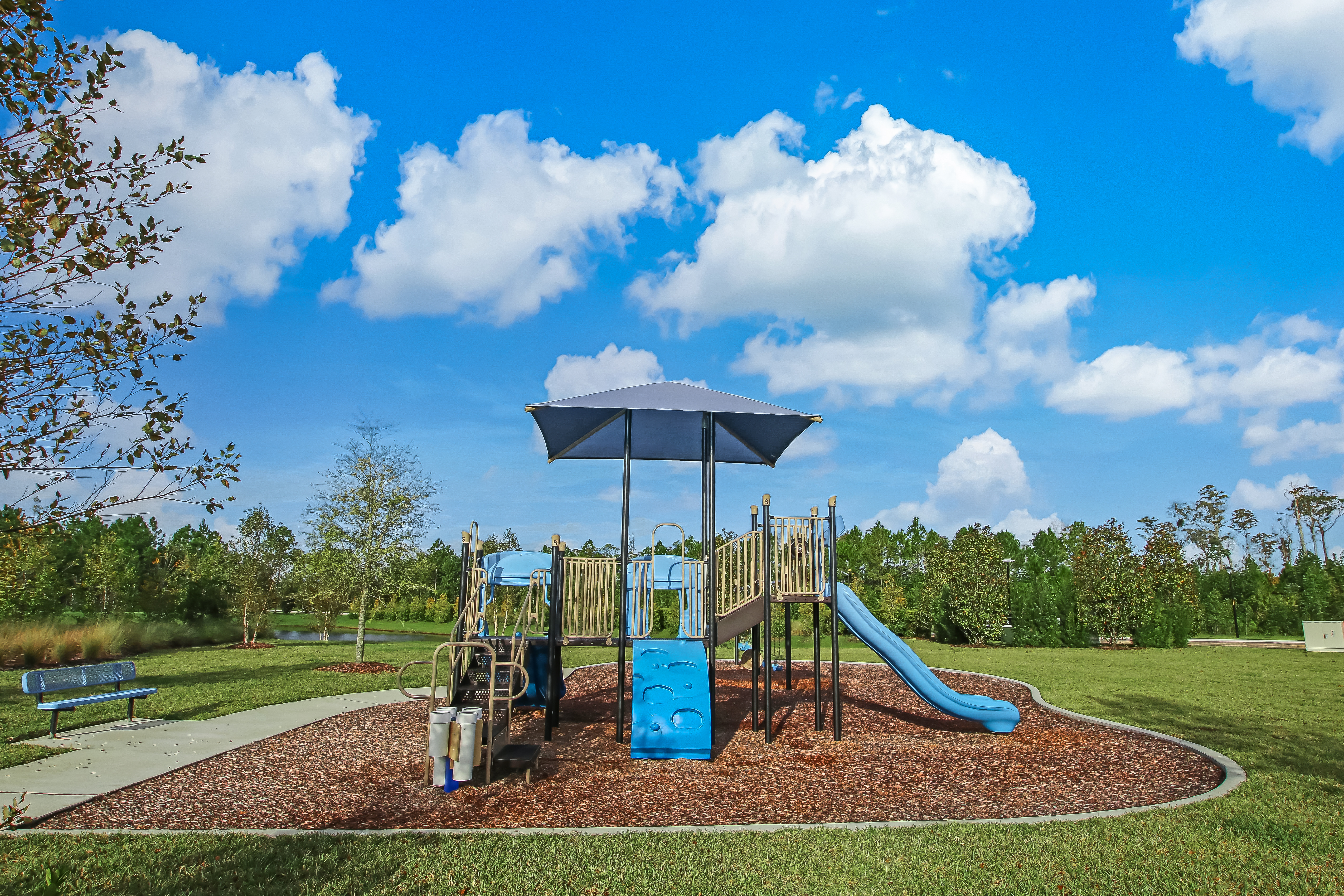  11996 Cabana Road, Jacksonville, FL, 32256 - 物件實景