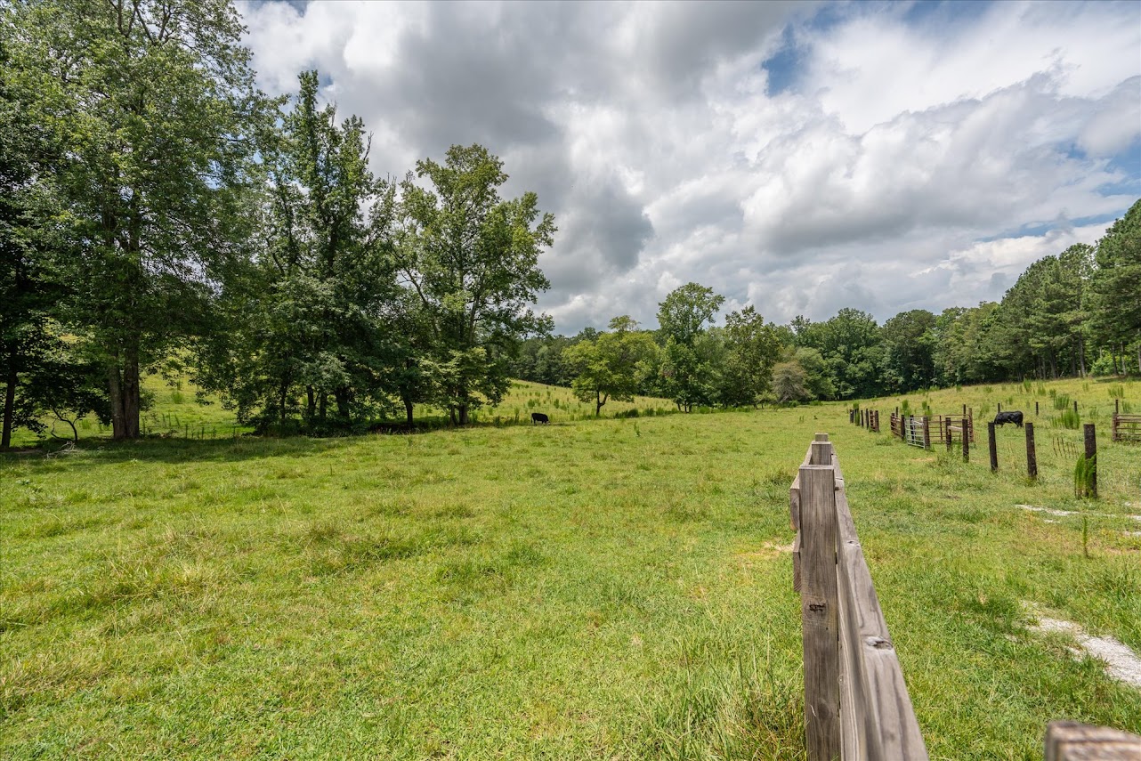 Heflin, Alabama, 36264, United States, ,Land,For Sale,1981342