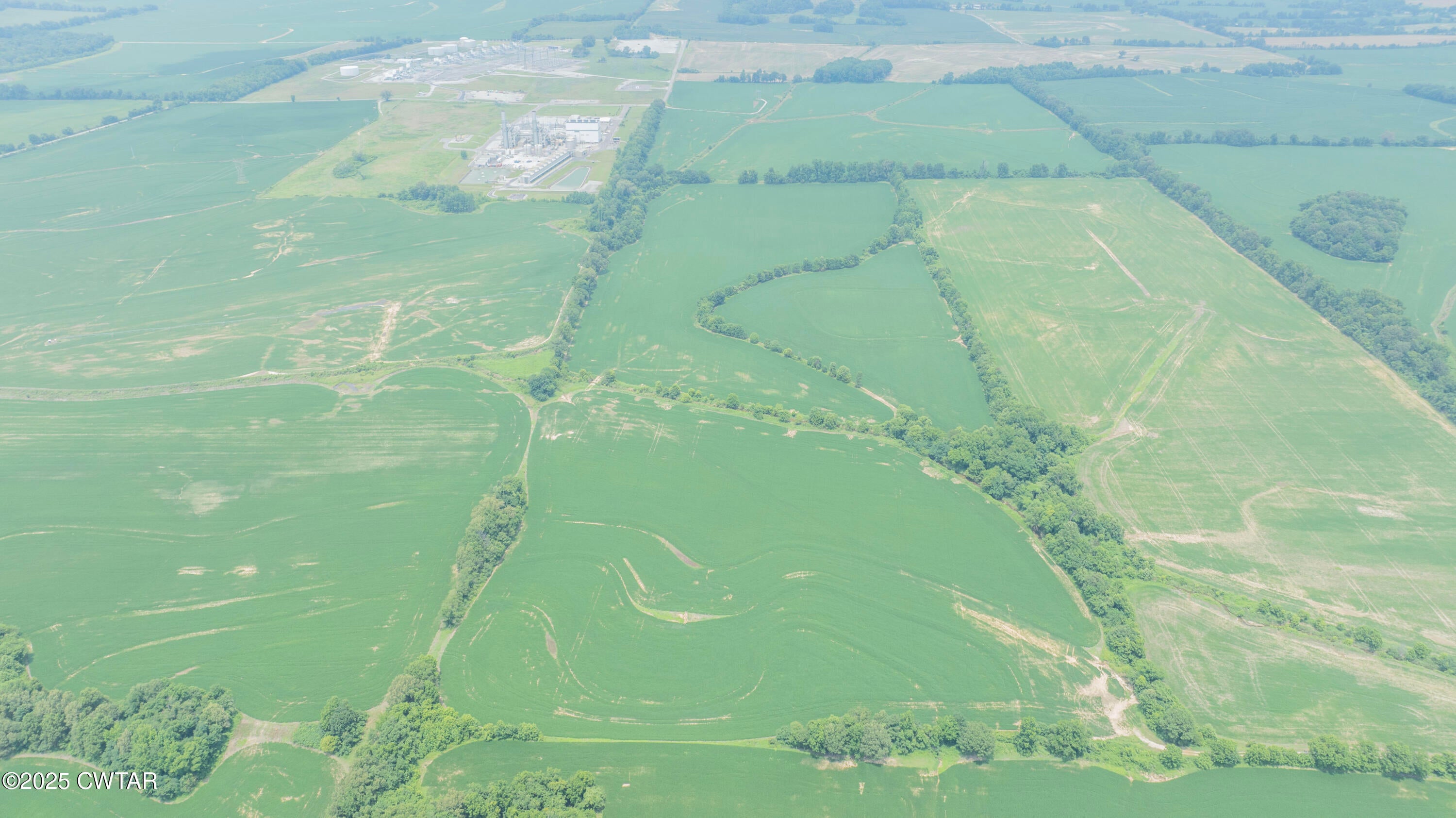 Brownsville, Tennessee, 38012, United States, ,Land,For Sale,1894798