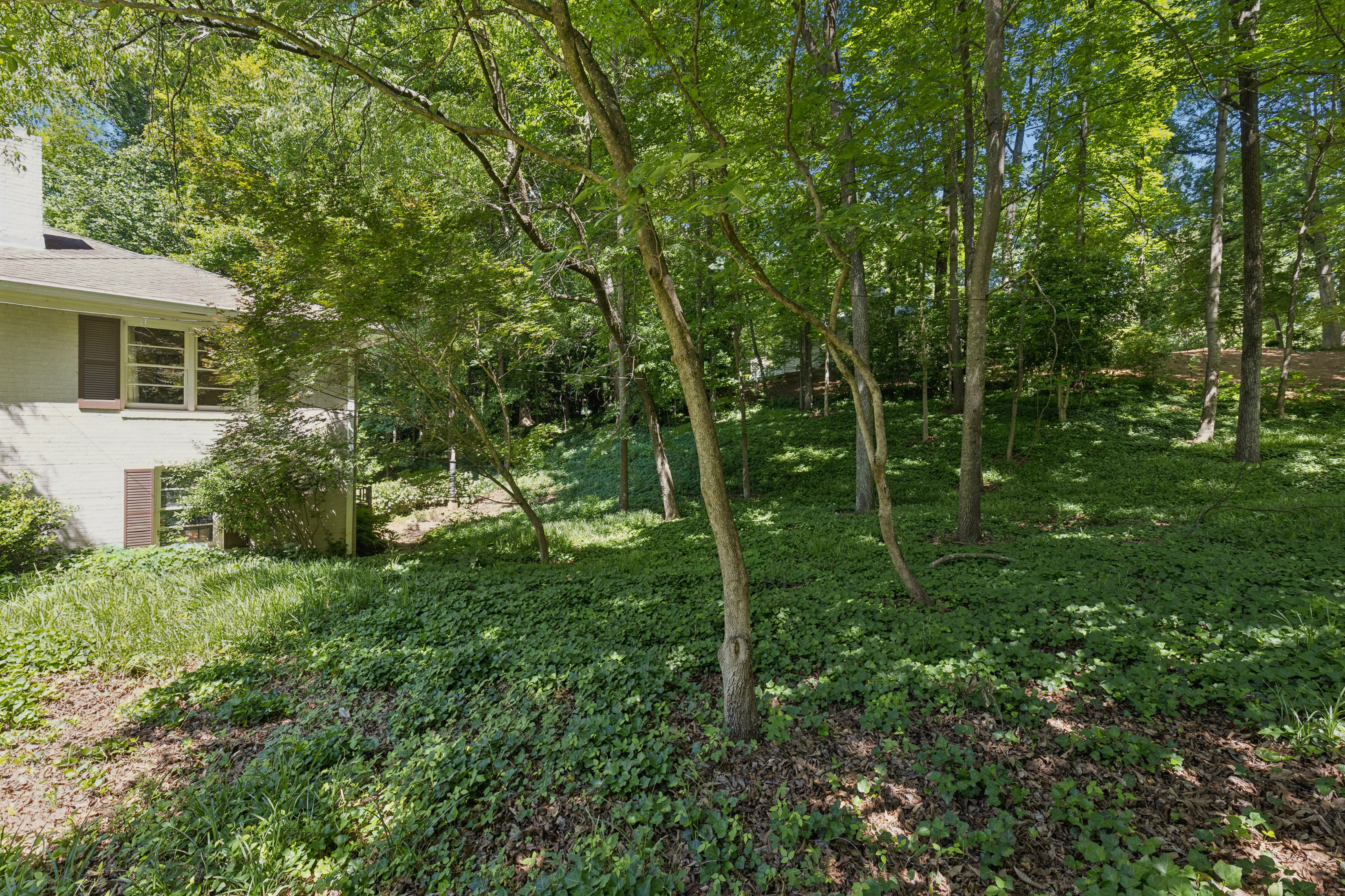  Charming Ranch Offers Space, Privacy and Long Term Potential - 物件實景