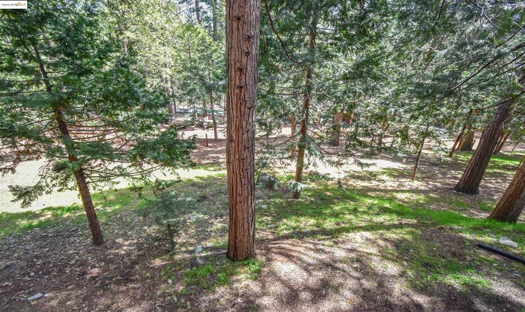 Twain Harte, California, 95383, United States, 5 Bedrooms Bedrooms, ,4 BathroomsBathrooms,Residential,For Sale,1791709