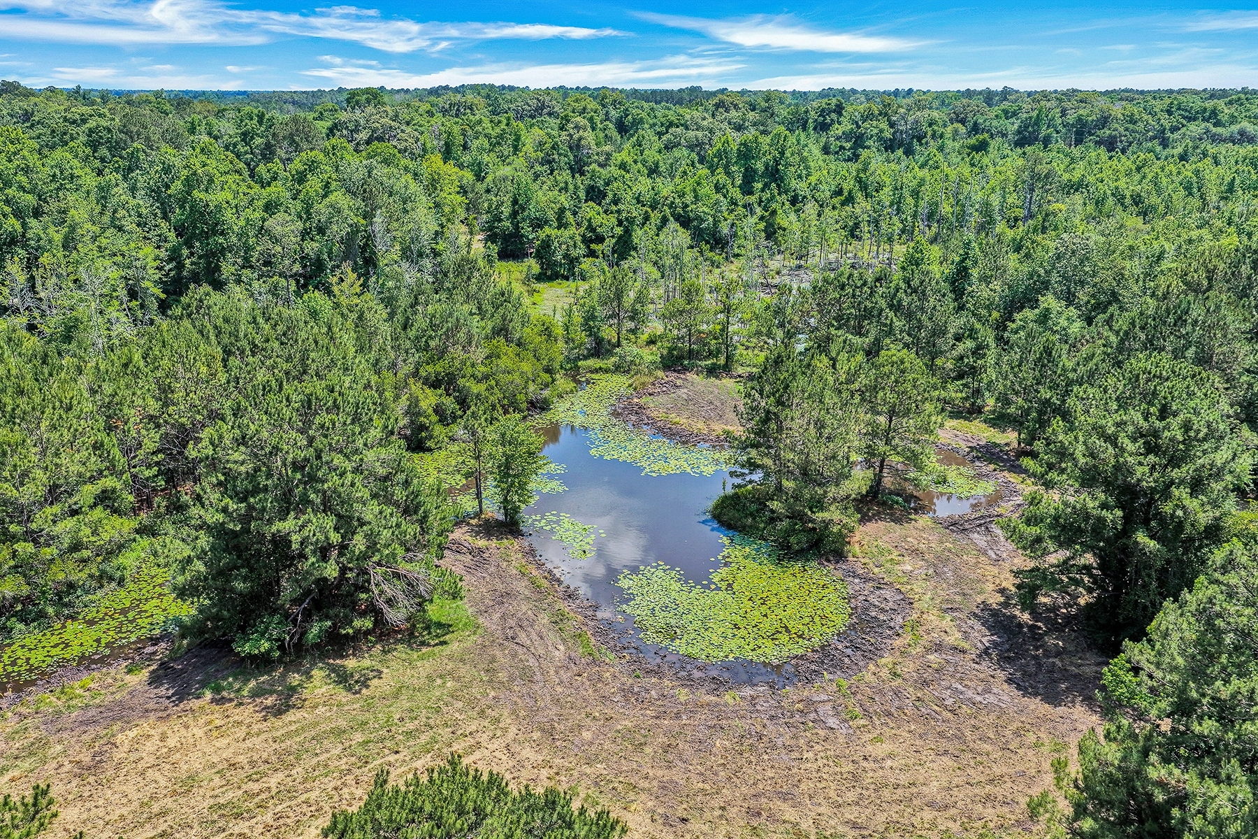  7724 Bees Creek Road, Ridgeland - 物件實景