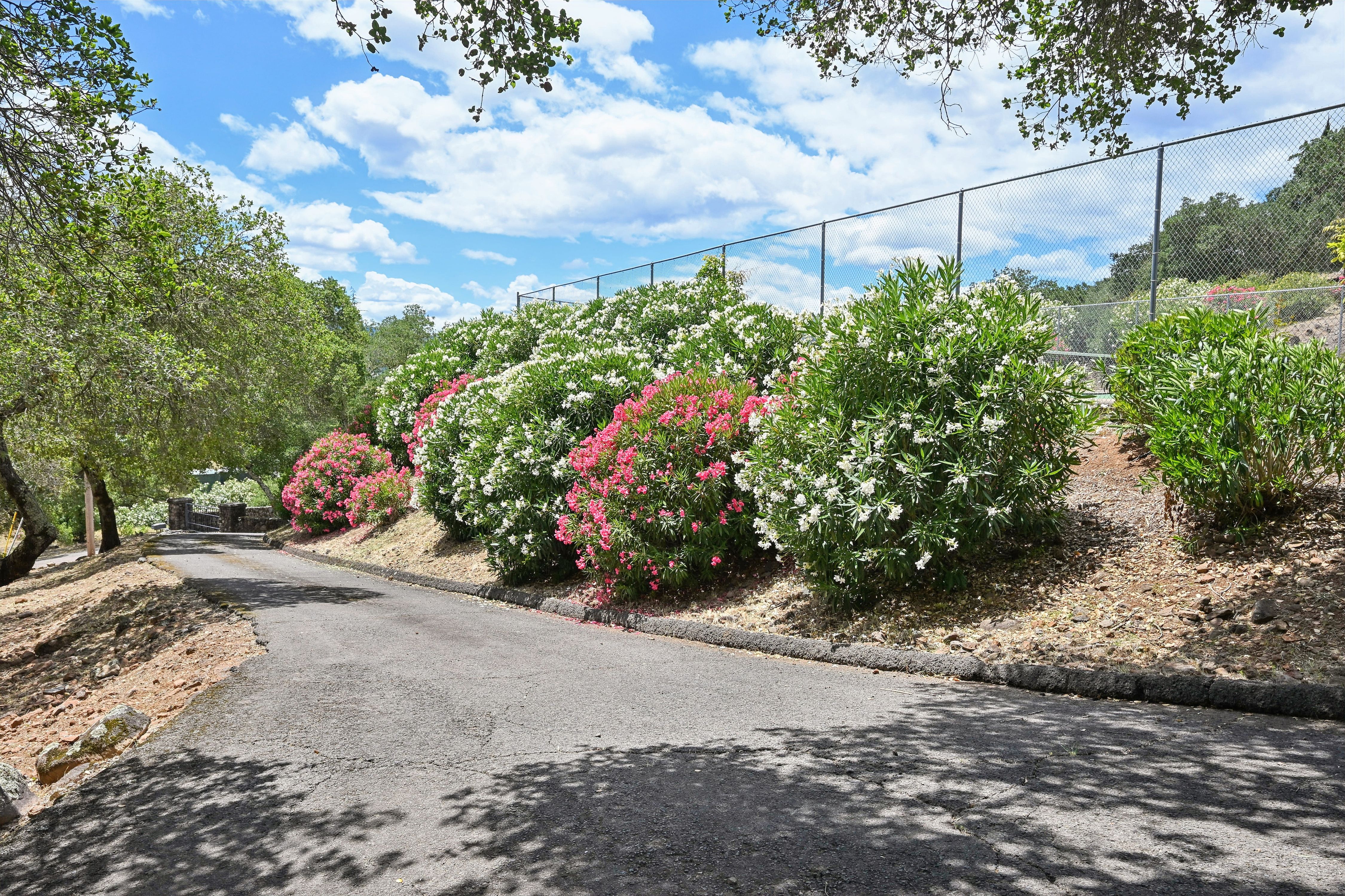  Iconic Silverado Trail Gated Estate - 物件實景