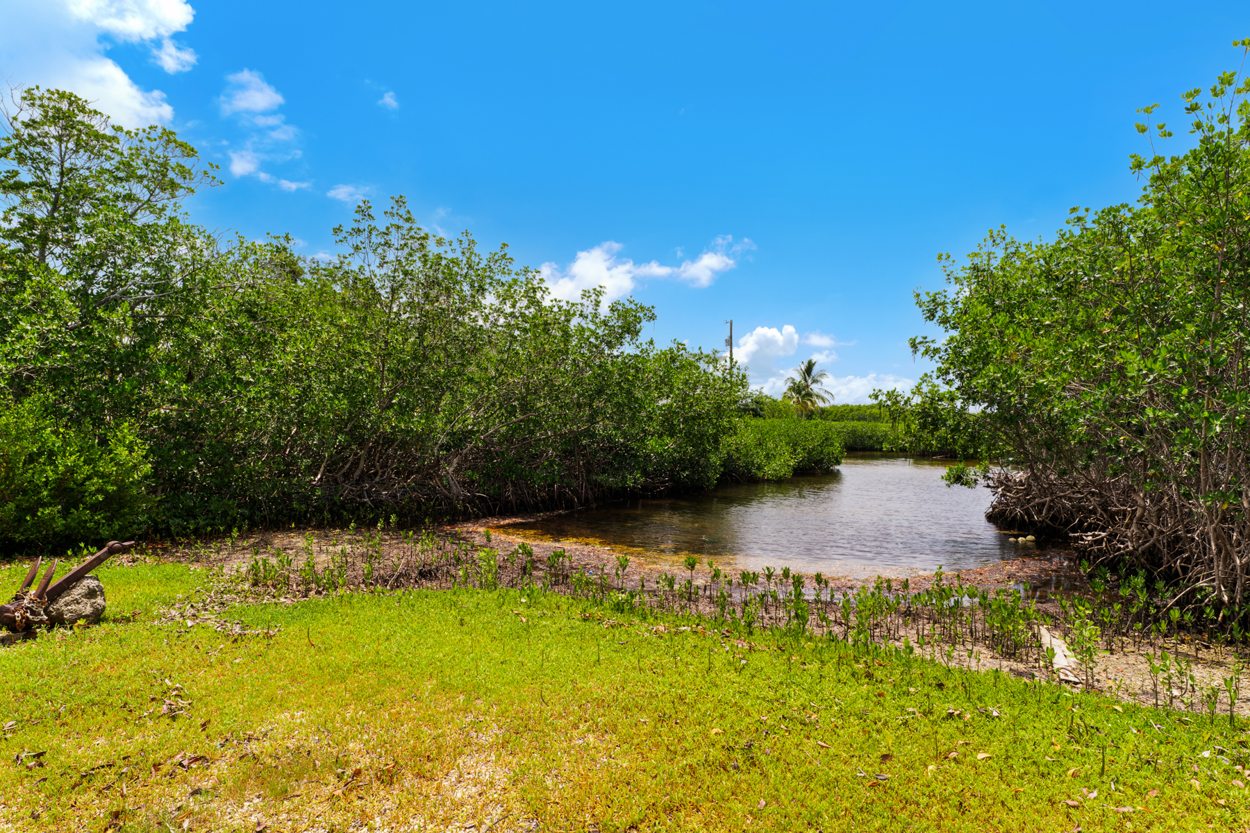  120 Coco Plum Road S - 物件實景