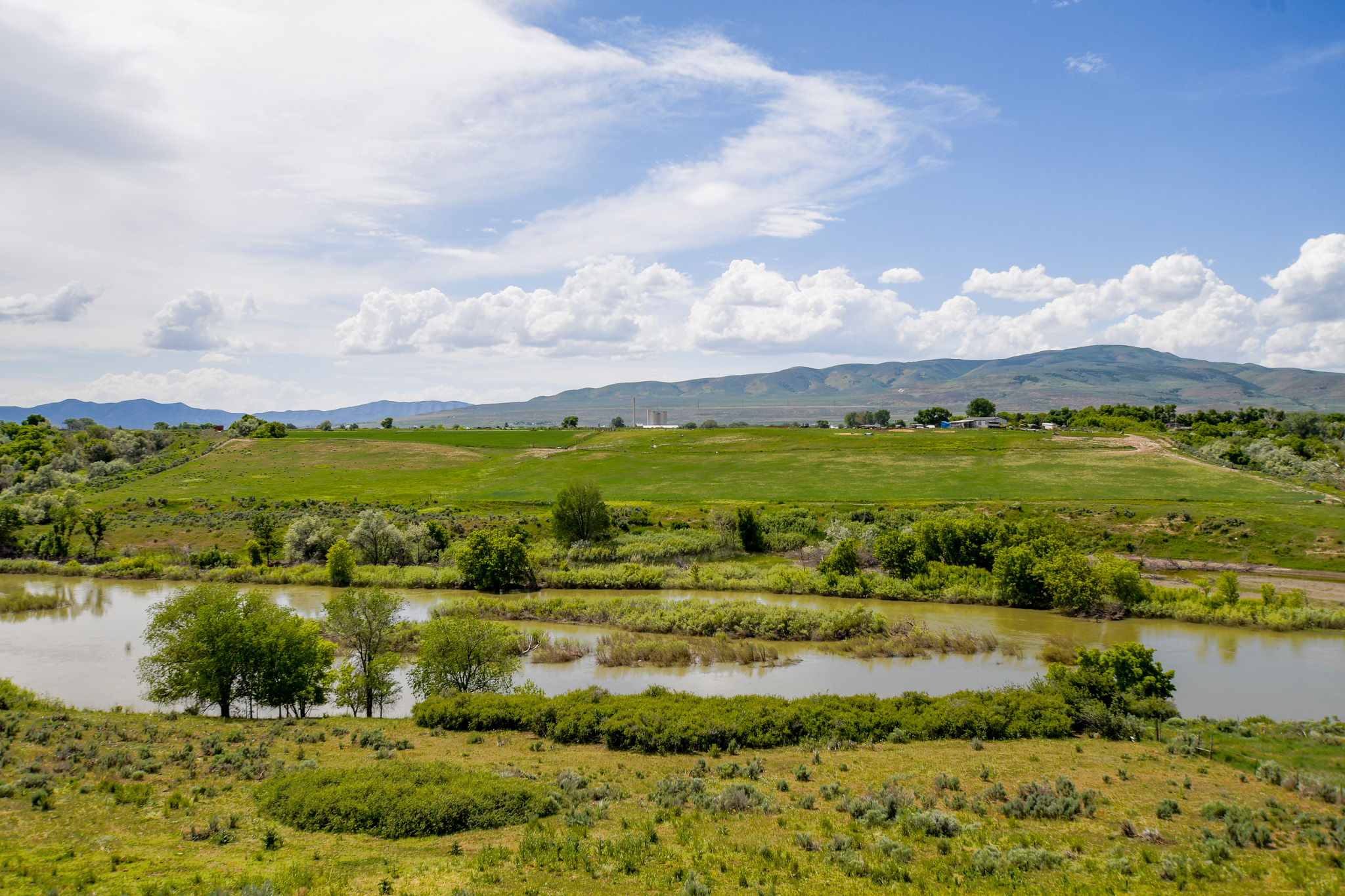 Deweyville, Utah, 84309, United States, ,Land,For Sale,1848401
