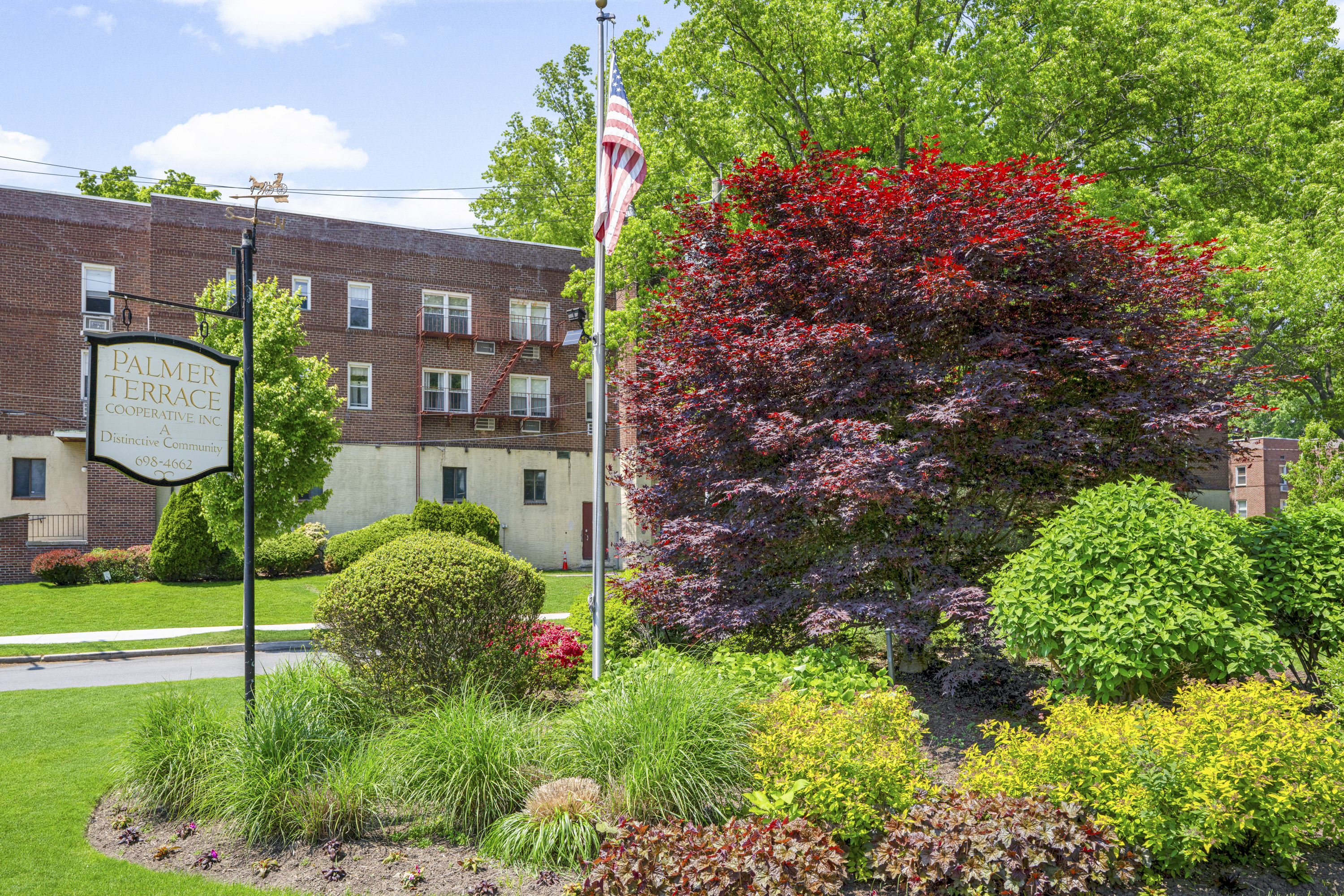  Beautiful Palmer Terrace Co-op - 物件實景