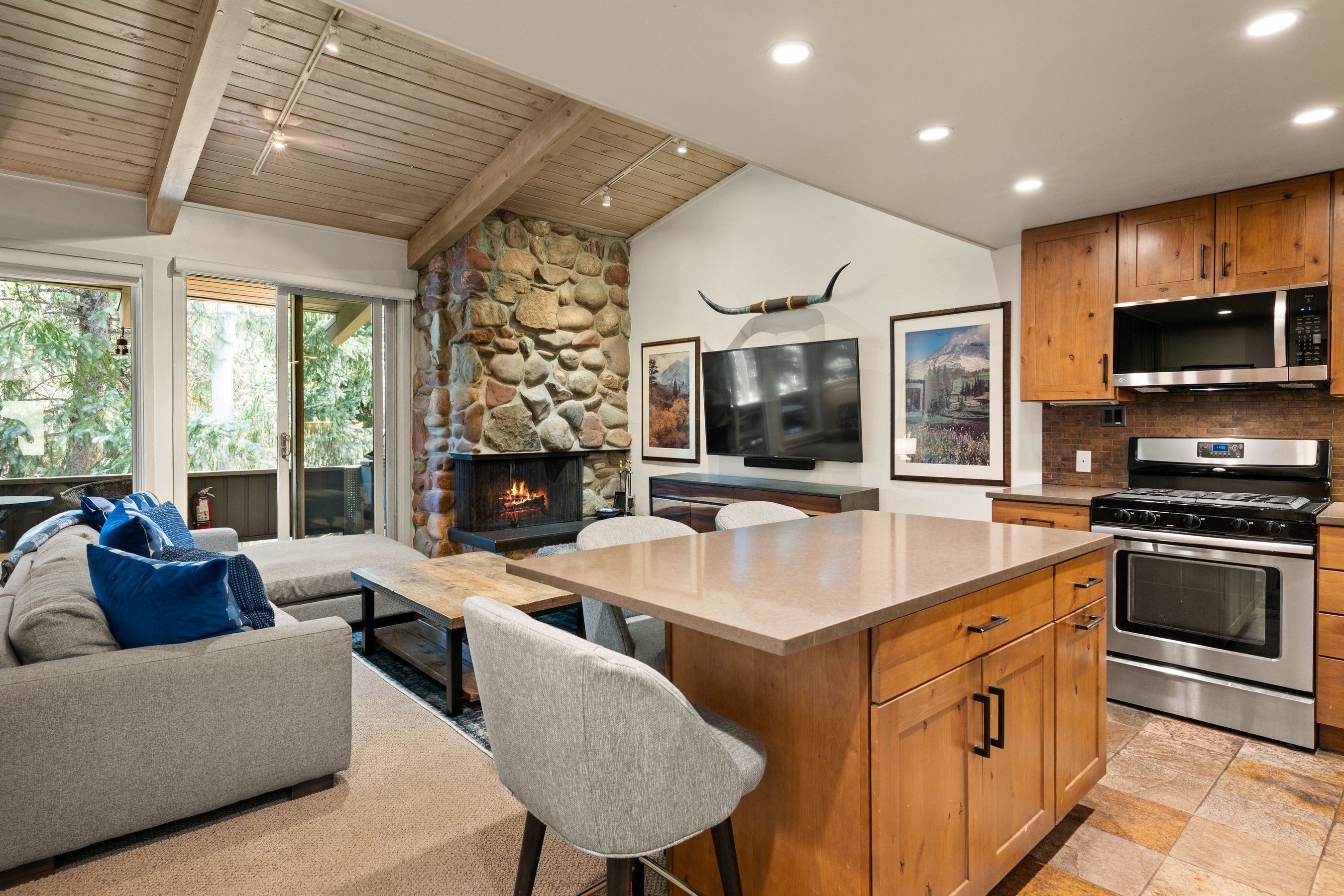  700 Ute Avenue, Aspen, CO, 81611 - 物件實景