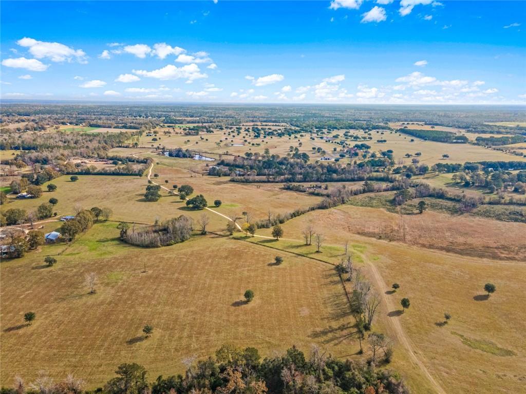 227.5 Acres Old Military (hwy 1082) Road, Bush, Louisiana, 70431, United States, ,Land,For Sale,227.5 Acres Old Military (hwy 1082) Road,1434121