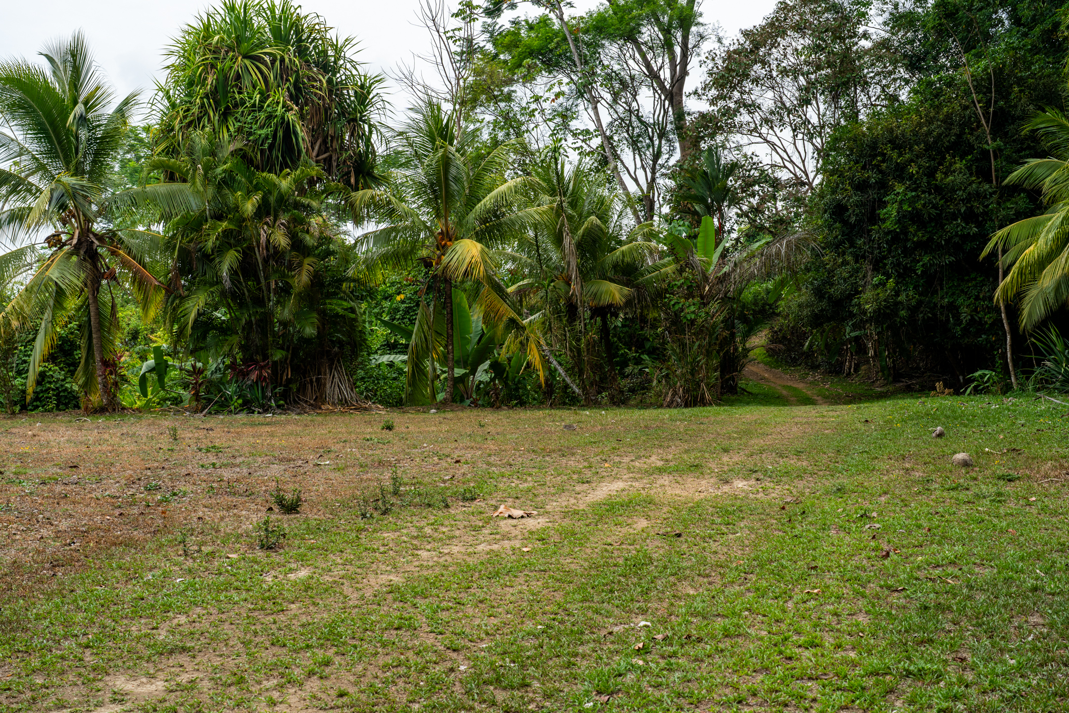 Lagunas, Dominical, Puntarenas, CR, 2 Bedrooms Bedrooms, ,1 BathroomBathrooms,Land,For Sale,Lagunas,1589118