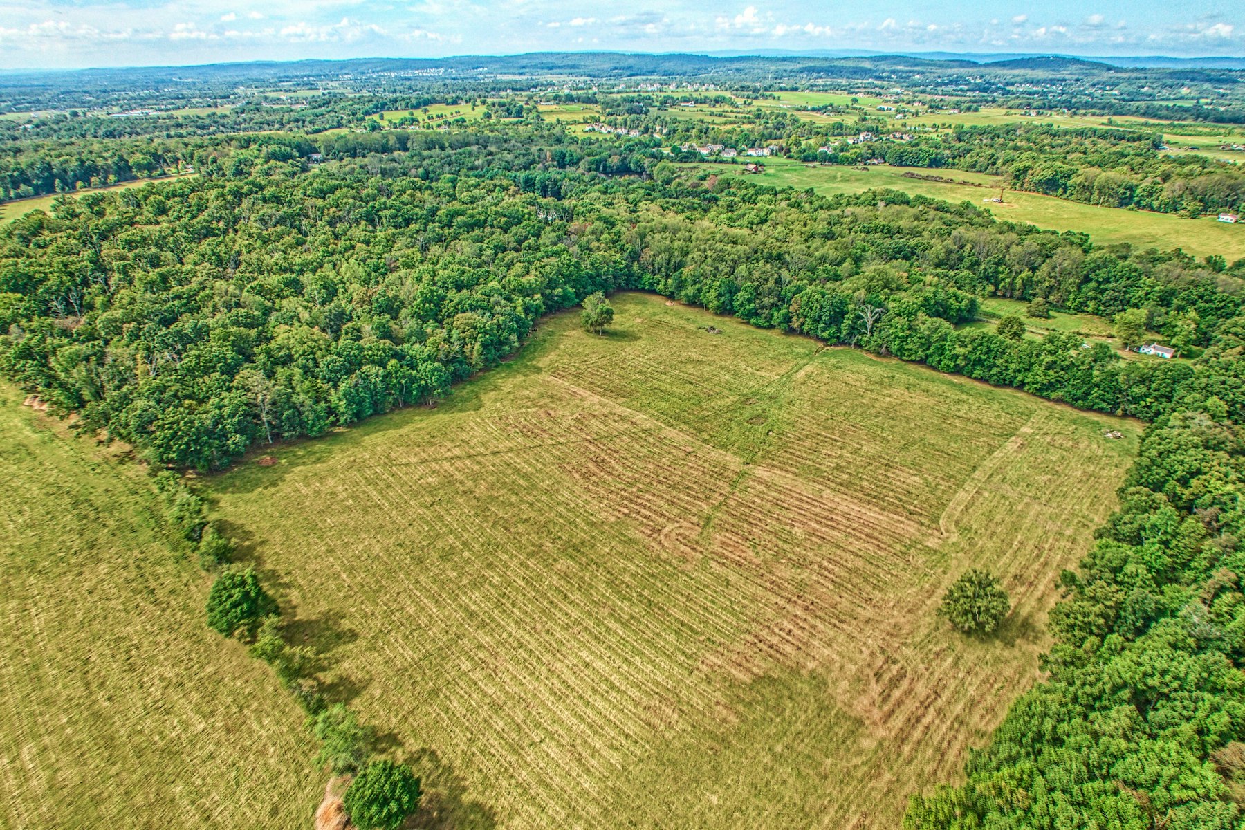  43470 Evans Pond Road, Leesburg, VA, 20176 - 物件實景