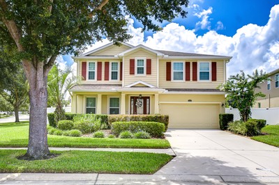 Land O Lakes, Florida, 34639, United States, 4 Bedrooms Bedrooms, ,3 BathroomsBathrooms,Residential,For Sale,1937225