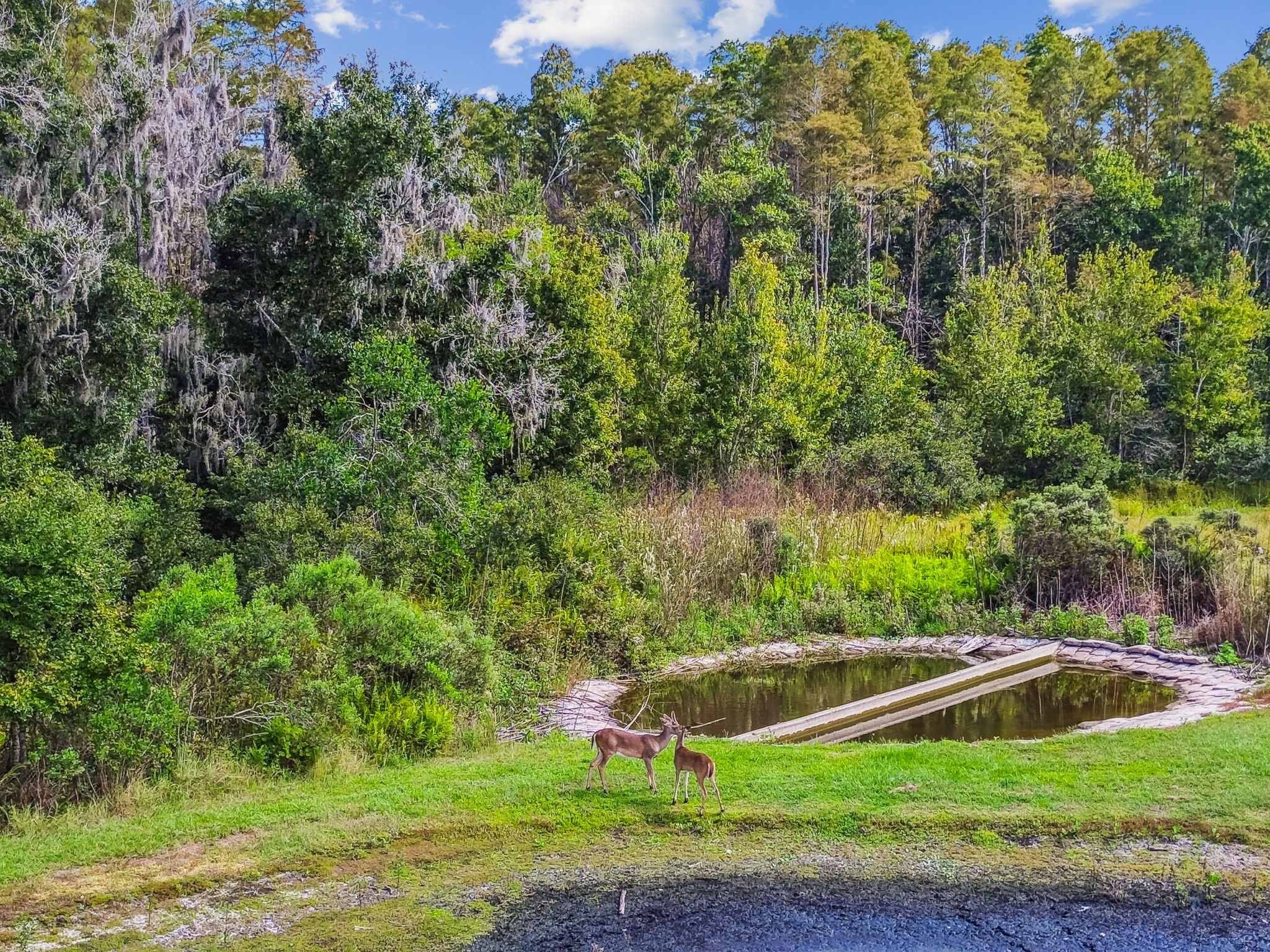 New Port Richey, Florida, 34655, United States, 6 Bedrooms Bedrooms, ,4 BathroomsBathrooms,Residential,For Sale,1980137
