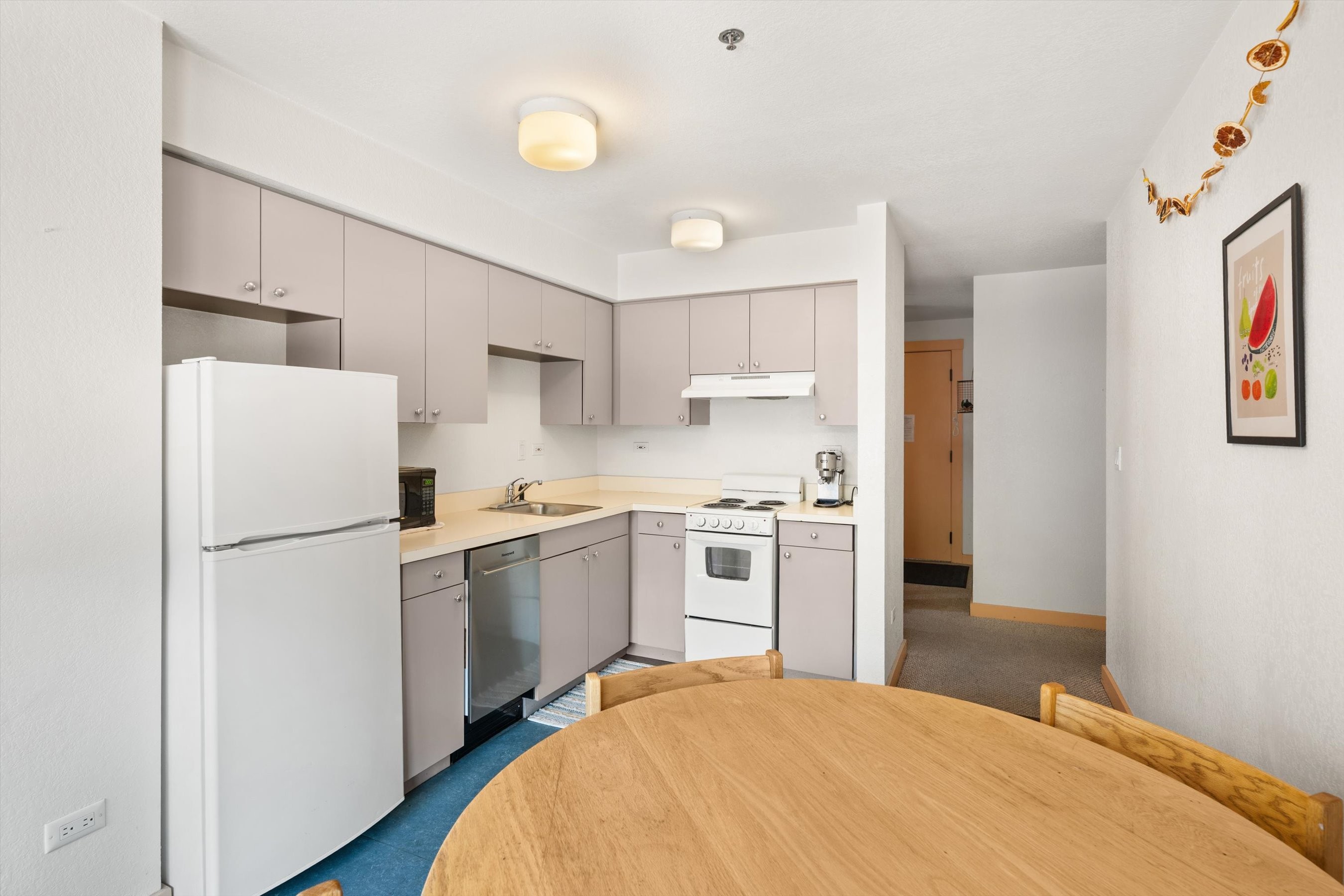  115 Boomerang Road, Aspen, CO, 81611 - 物件實景