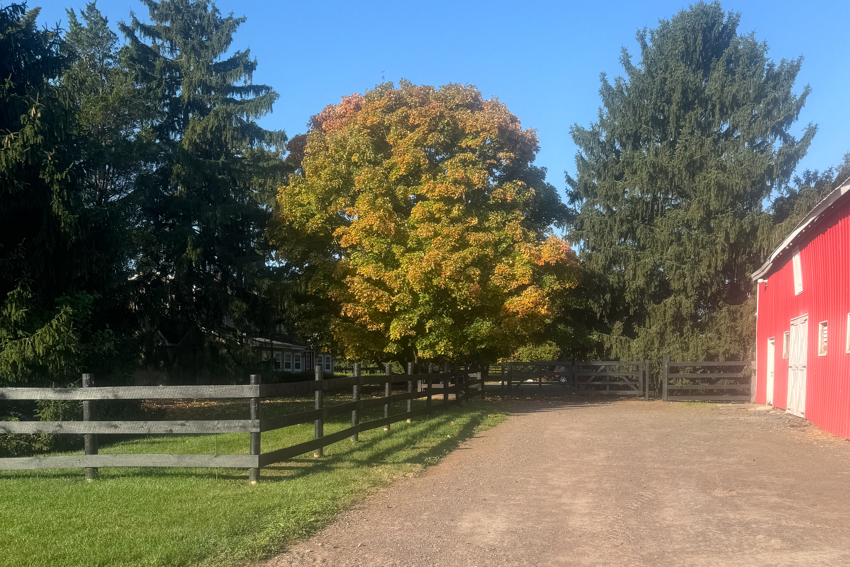  Turn-key Exceptional Princeton Area Equestrian Estate and Preserved Farm - 物件實景