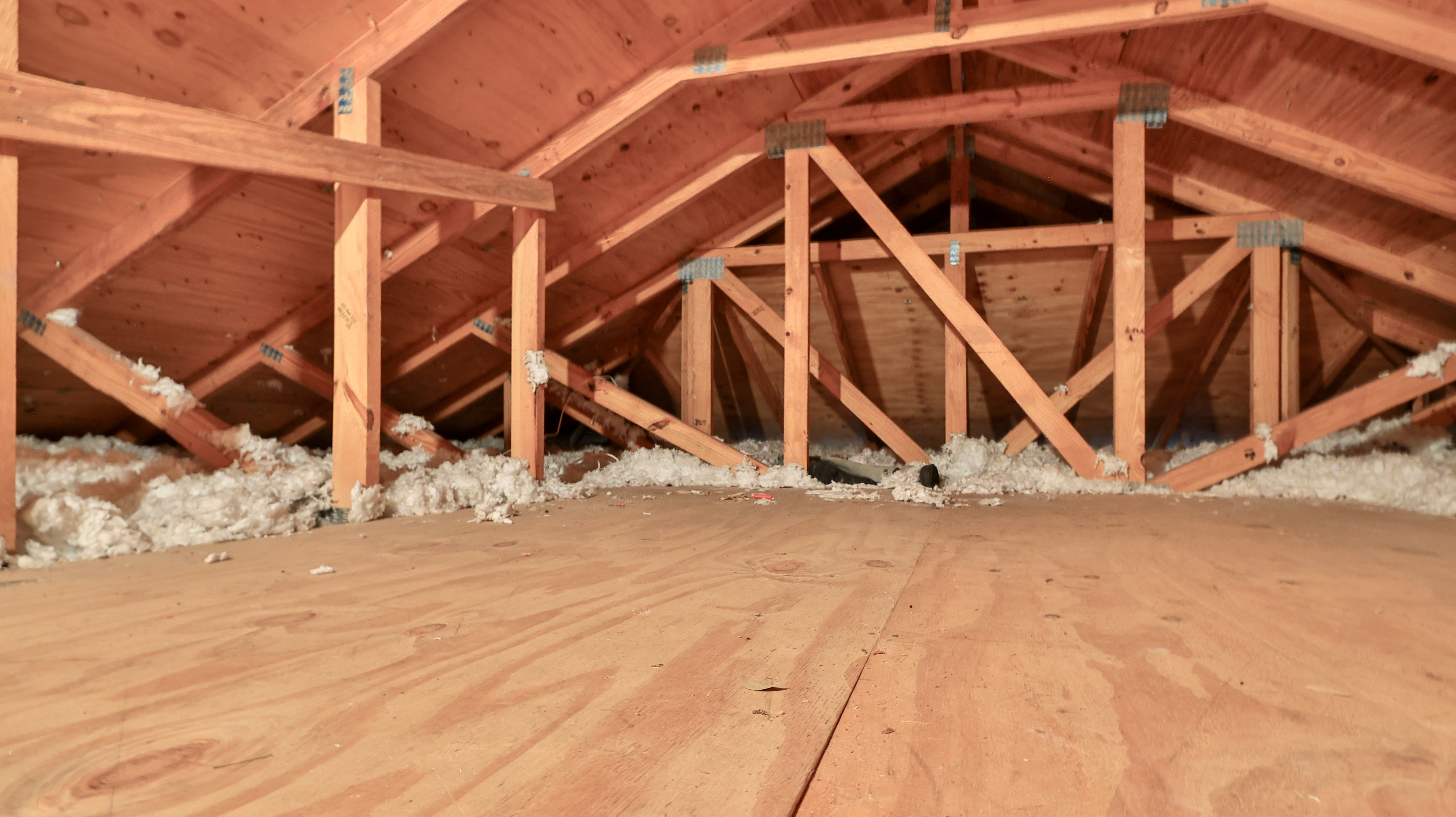  87 Cimmaron Drive, Palm Coast, FL, 32137 - 物件實景