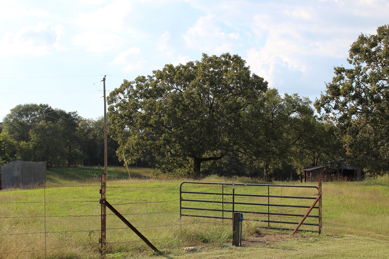 Hatfield, Arkansas, 71945, United States, 2 Bedrooms Bedrooms, ,1 BathroomBathrooms,Residential,For Sale,1977667