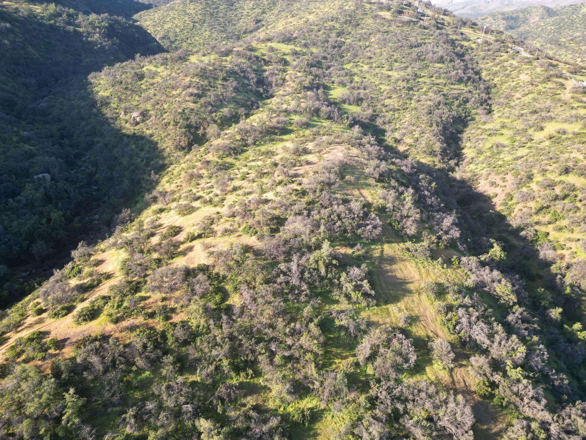 Lo Barnechea, Chile, ,Land,For Sale,1926302