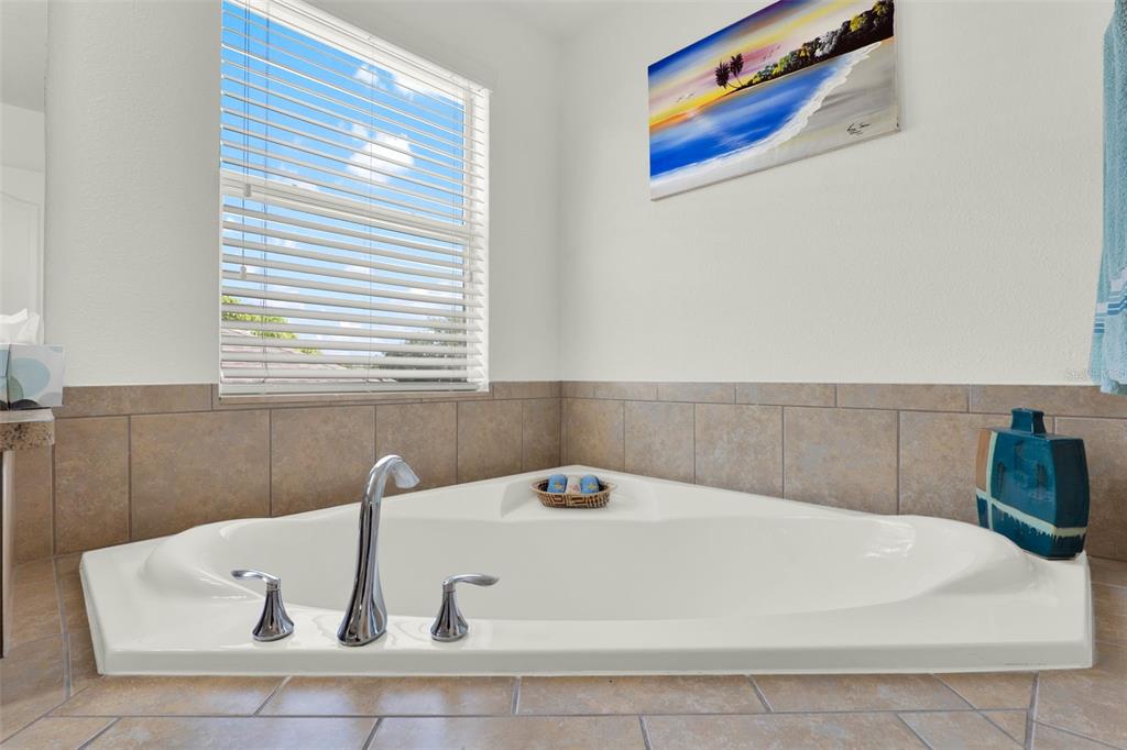 Winter Garden, Florida, 34787, United States, 6 Bedrooms Bedrooms, ,3 BathroomsBathrooms,Residential,For Sale,1907719