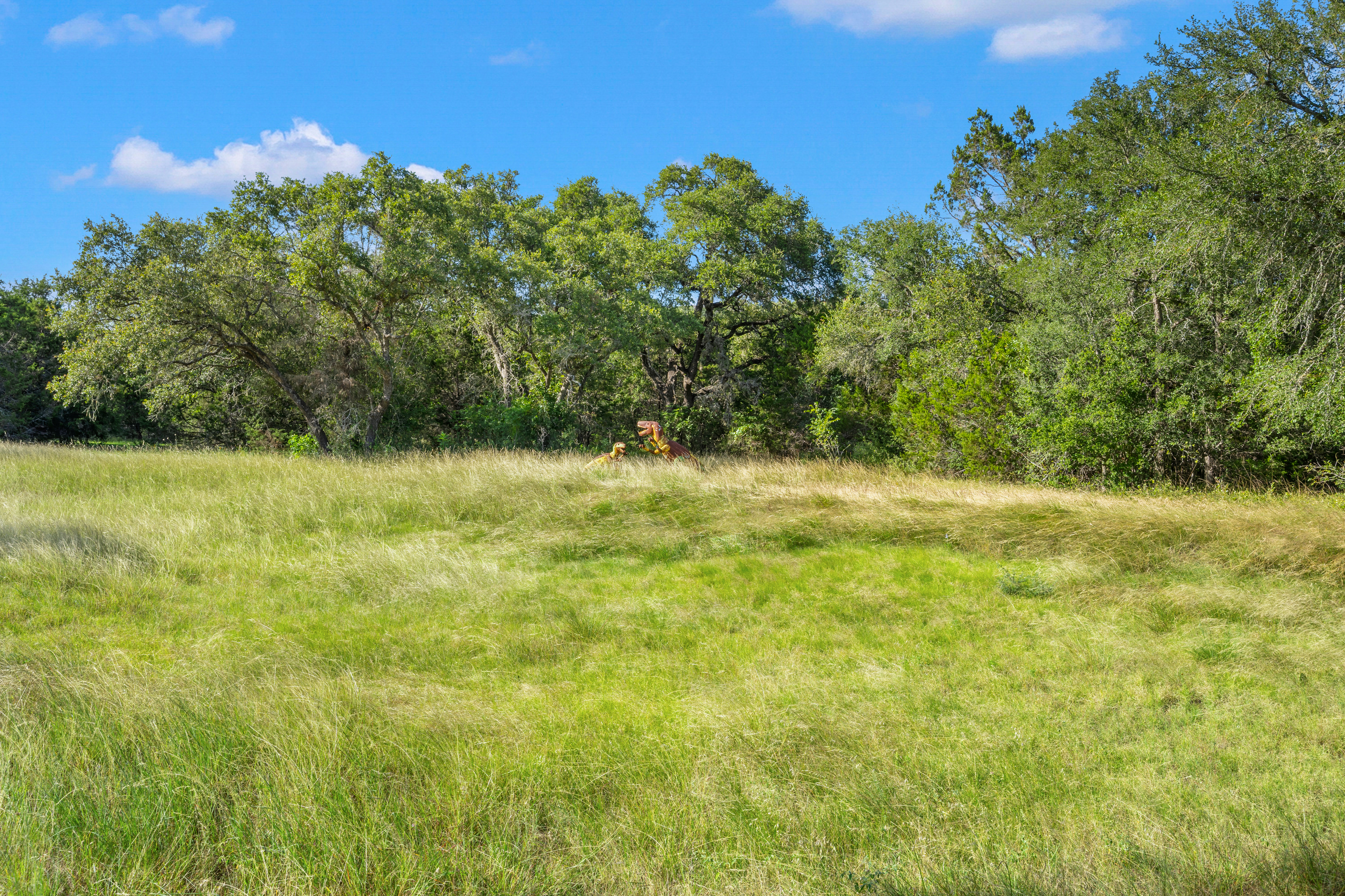 Hill Country Estate with Privacy and Presence - 物件實景