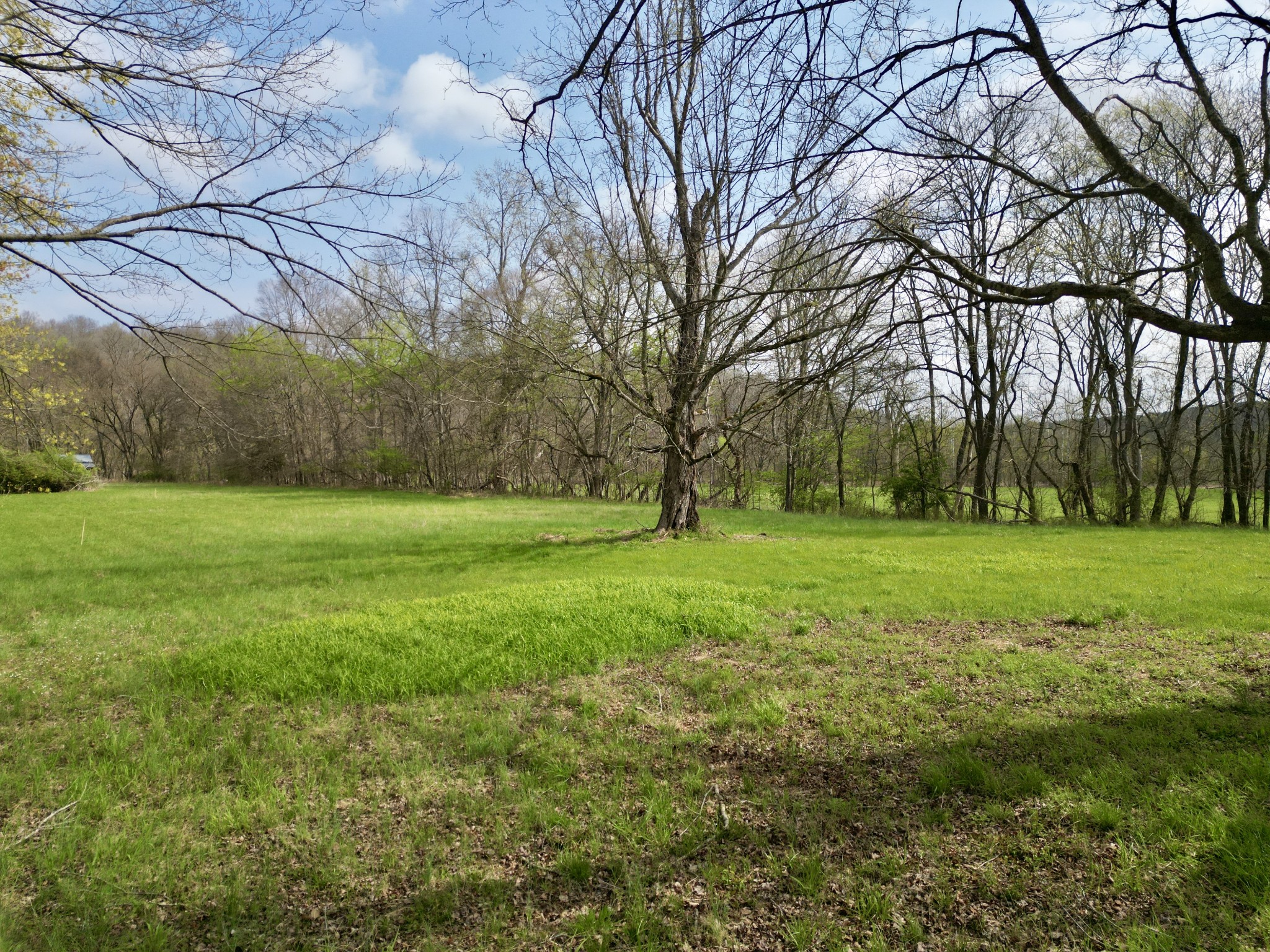  1875 New Hope Rd, Joelton, TN, 37080 - 物件實景
