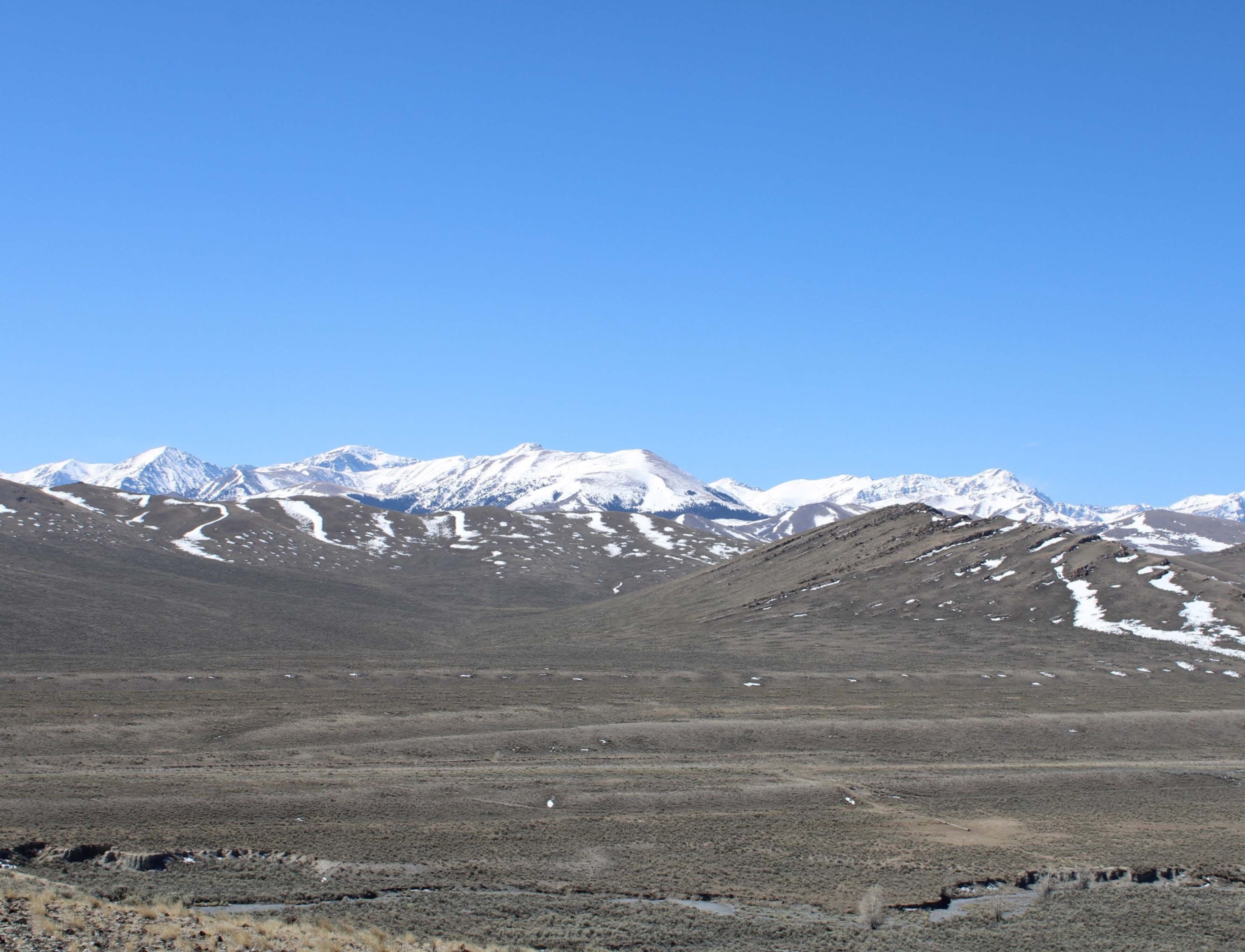  Resident Elk Hunting Tag Available - 物件實景