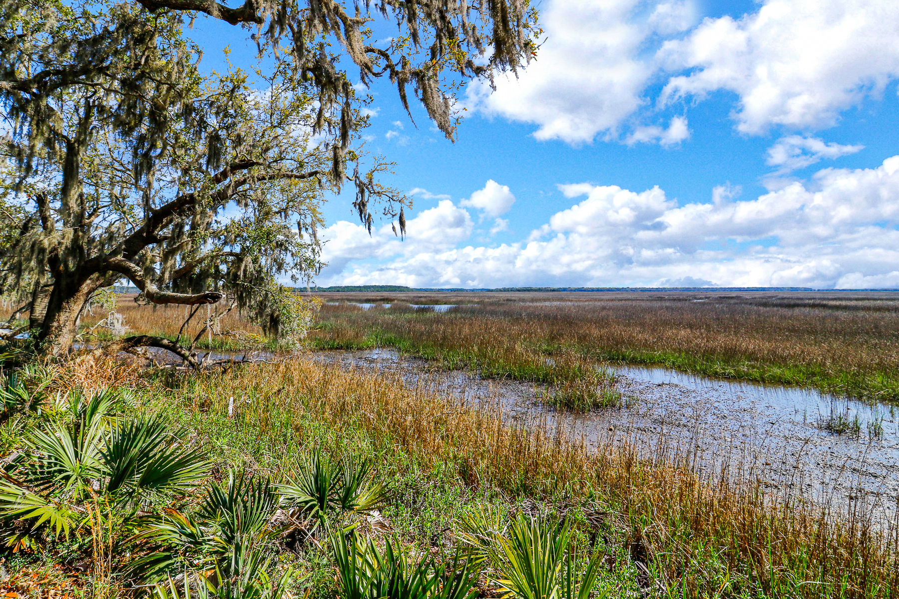  535 Broad River Road, Ridgeland - 物件實景