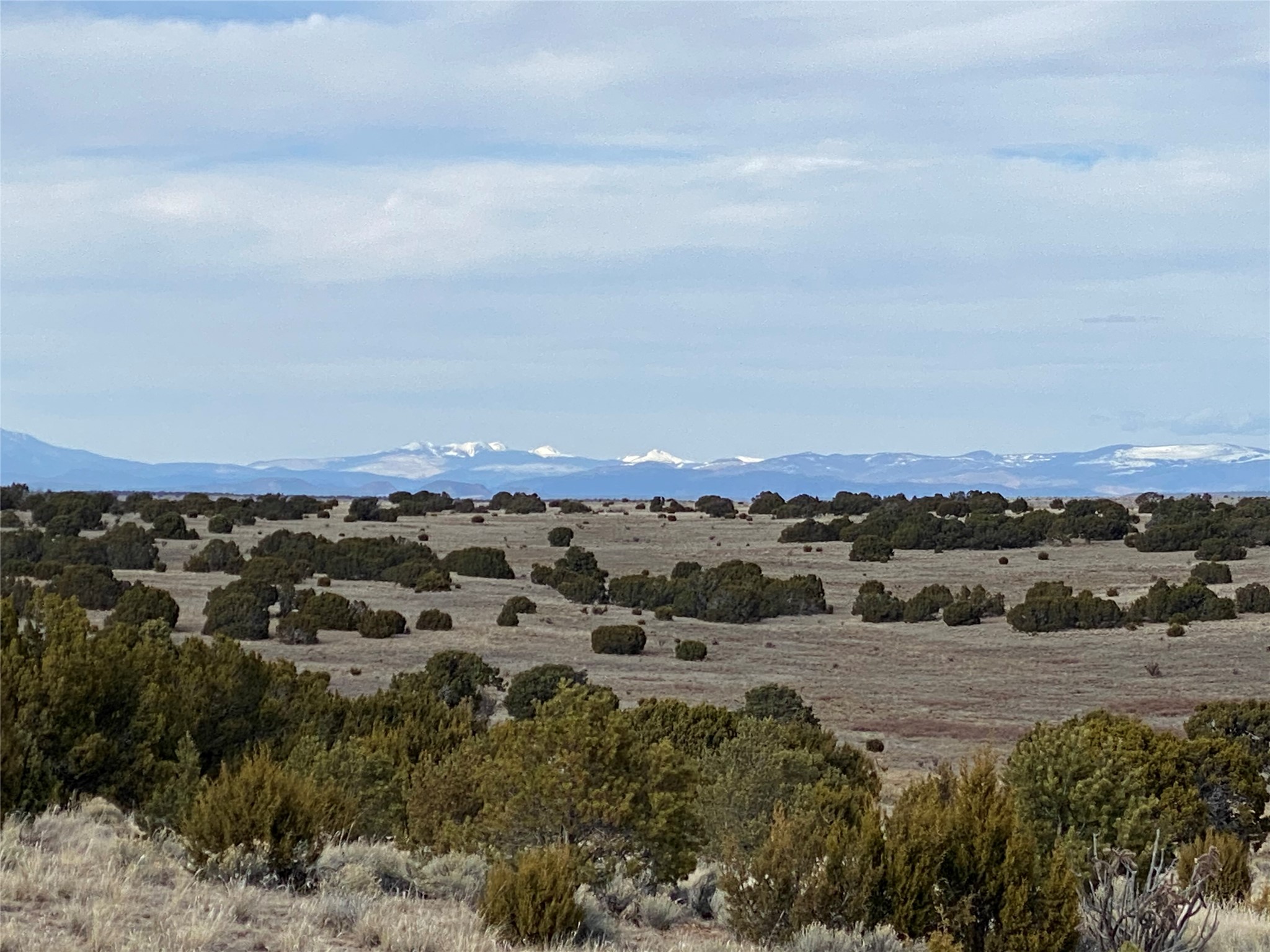  26262 US Highway 285 - 物件實景