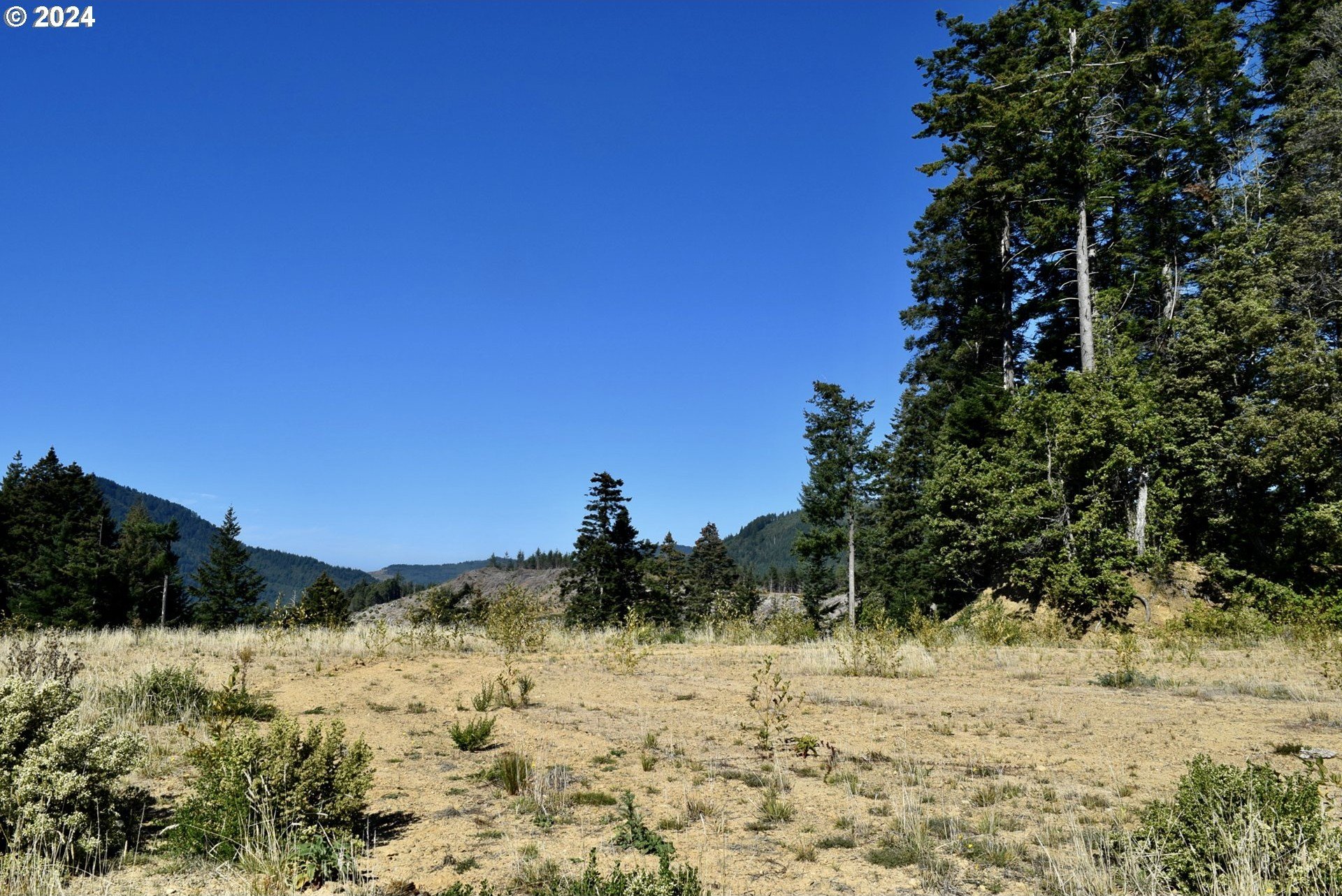 Port Orford, Oregon, 97465, United States, ,Land,For Sale,1977705