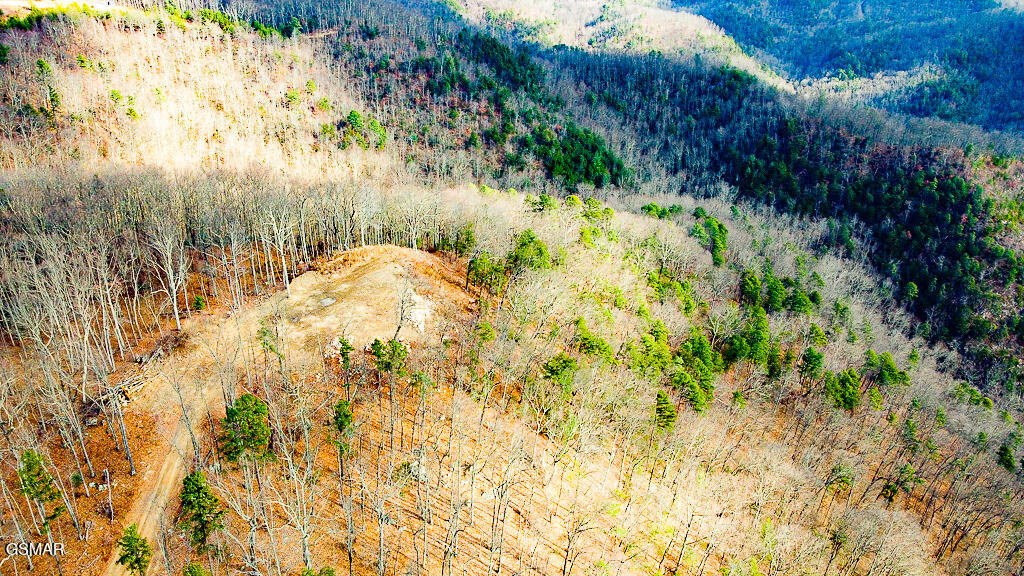 Sevierville, Tennessee, 37876, United States, ,Land,For Sale,2008093