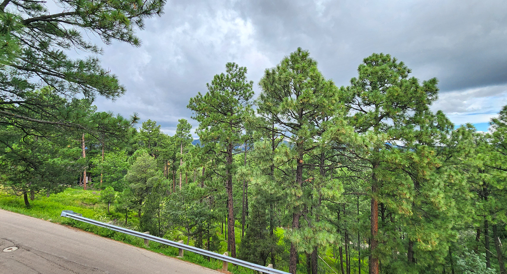 Alto, New Mexico, 88312, United States, 2 Bedrooms Bedrooms, ,2 BathroomsBathrooms,Residential,For Sale,1951526