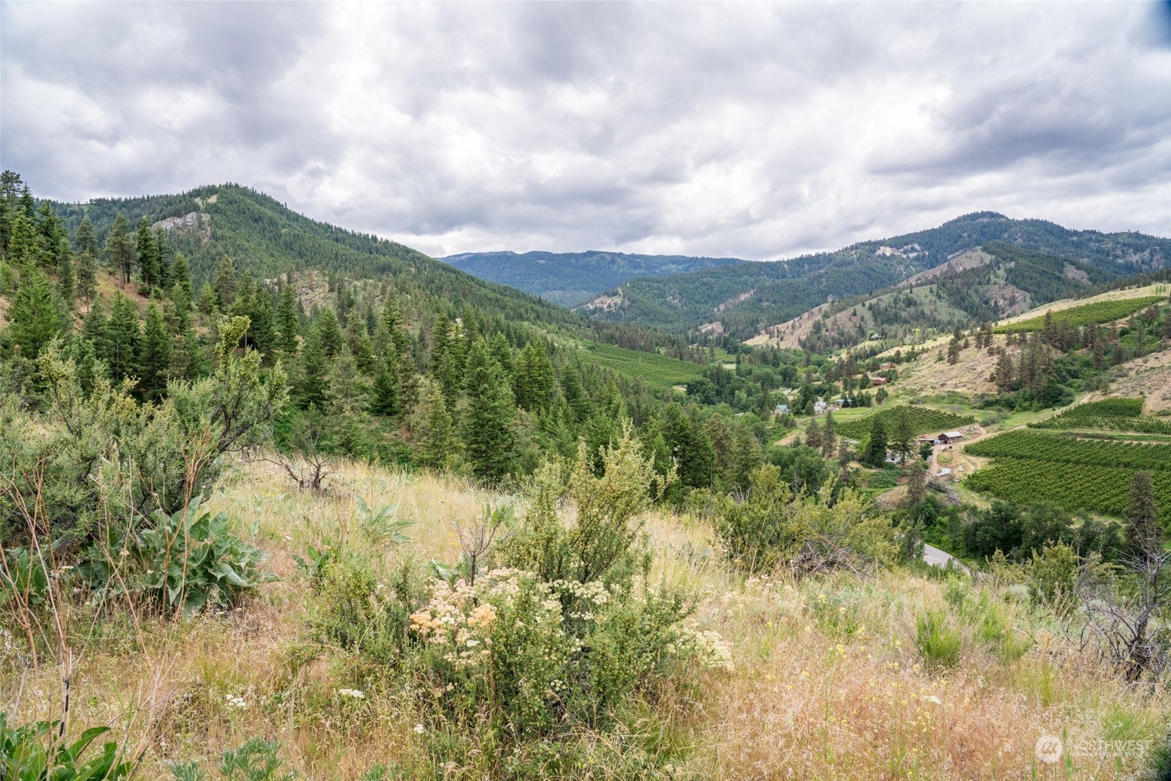 Wenatchee, Washington, 98801, United States, ,Land,For Sale,1690373