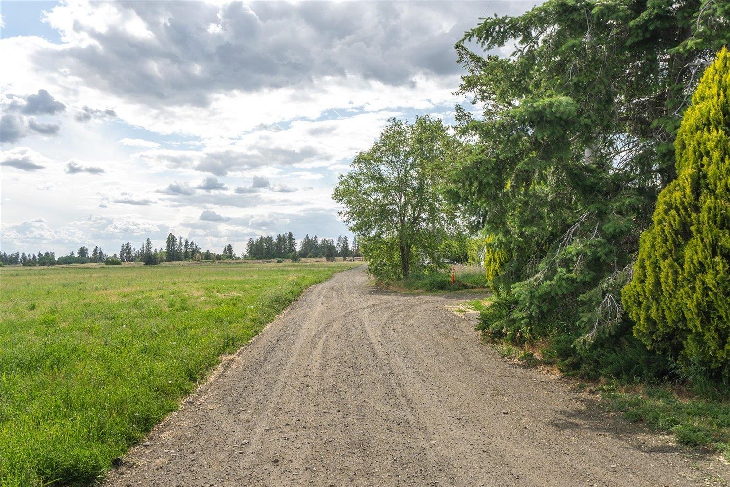 Spokane, Washington, 99224, United States, ,Land,For Sale,1978139