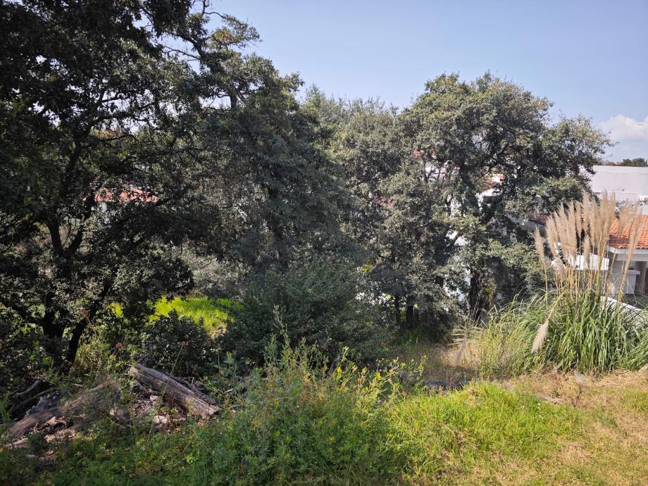 Capulines, Atizapán de Zaragoza, Estado de México, 52938, Mexico, 1 Bedroom Bedrooms, ,Residential,For Sale,Capulines,1443866