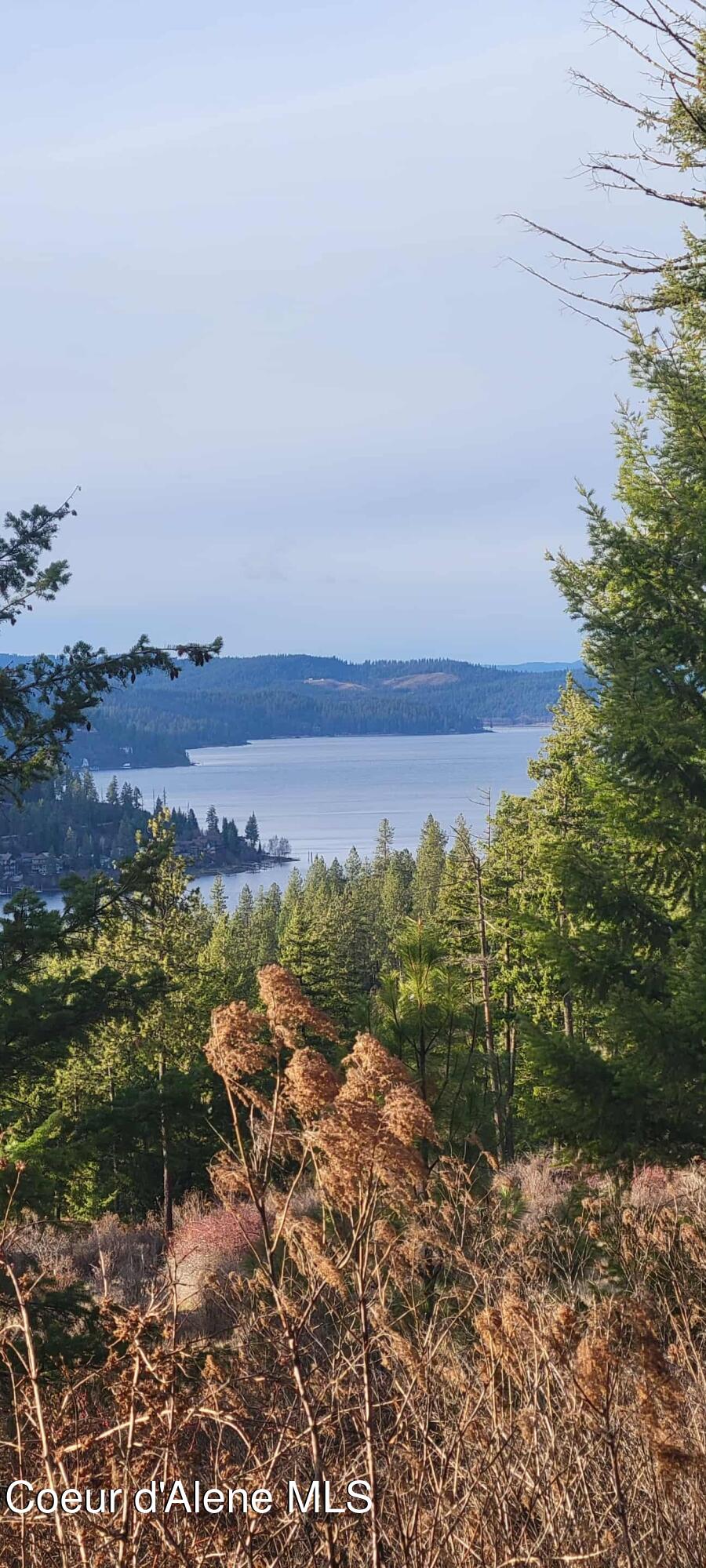 Harrison, Idaho, 83833, United States, 1 Bedroom Bedrooms, ,1 BathroomBathrooms,Residential,For Sale,1980772