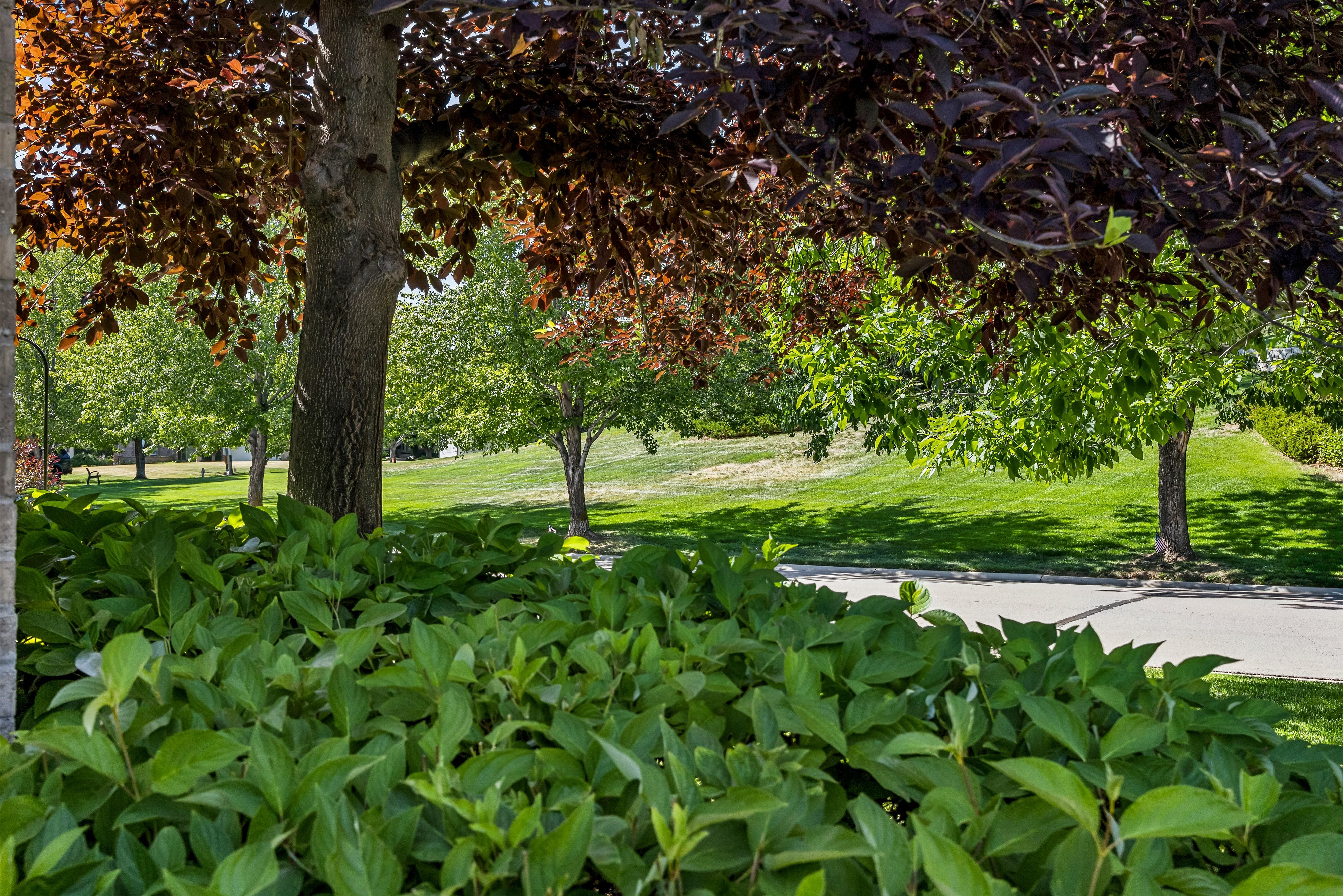  Luxury Features, Thoughtful Upgrades And Beautiful Outdoor Space - 物件實景