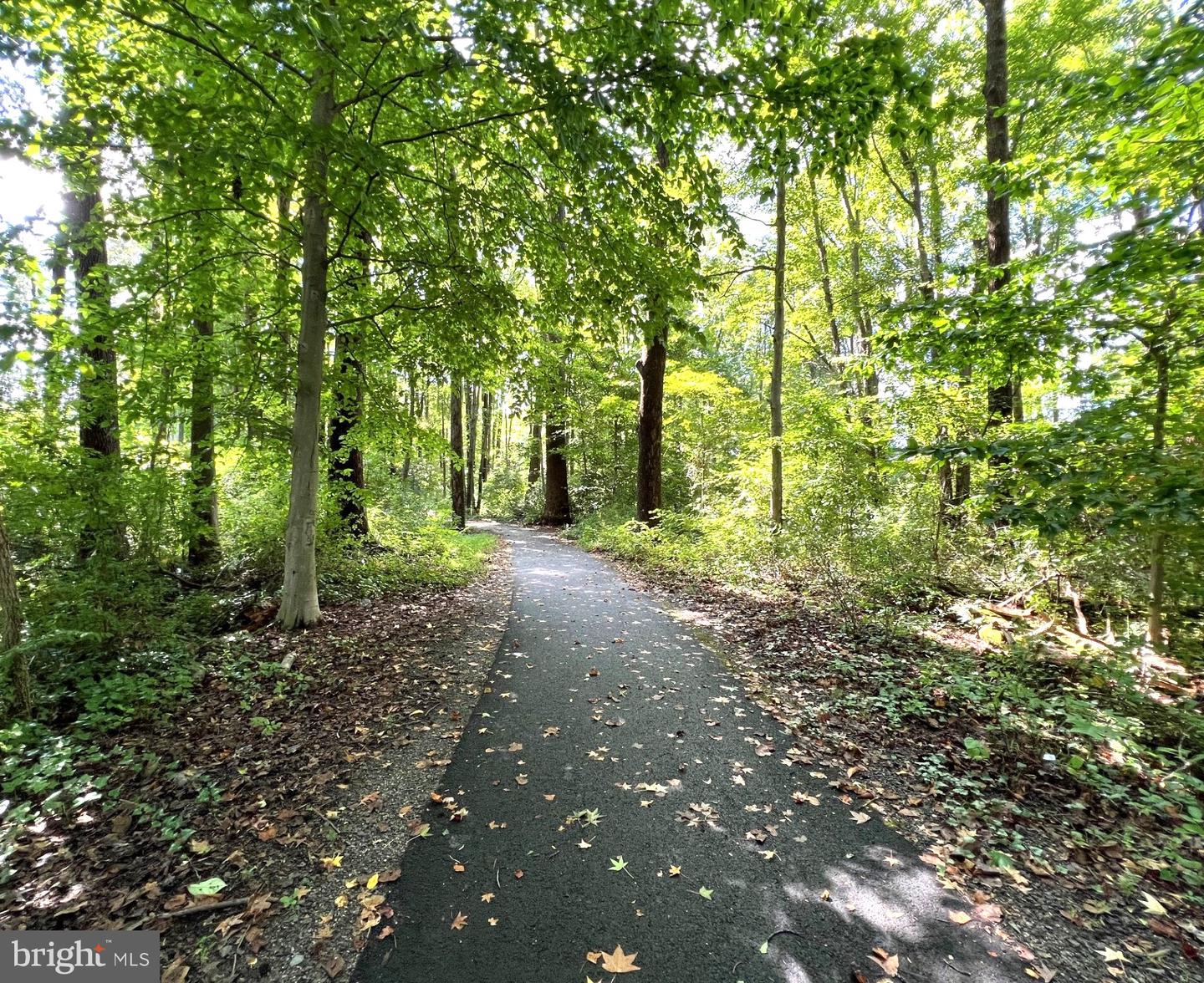 Annandale, Virginia, 22003, United States, 3 Bedrooms Bedrooms, ,4 BathroomsBathrooms,Residential,For Sale,2001924