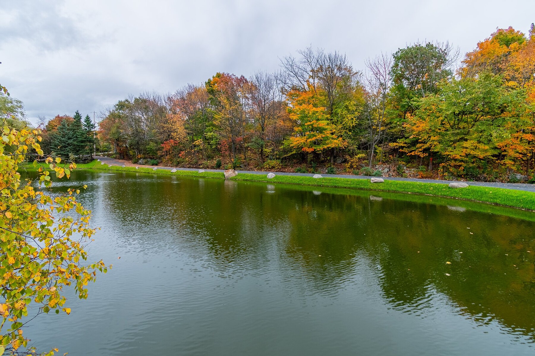  Saint-Michel-de-Bellechasse, Chaudière-Appalaches - 物件實景