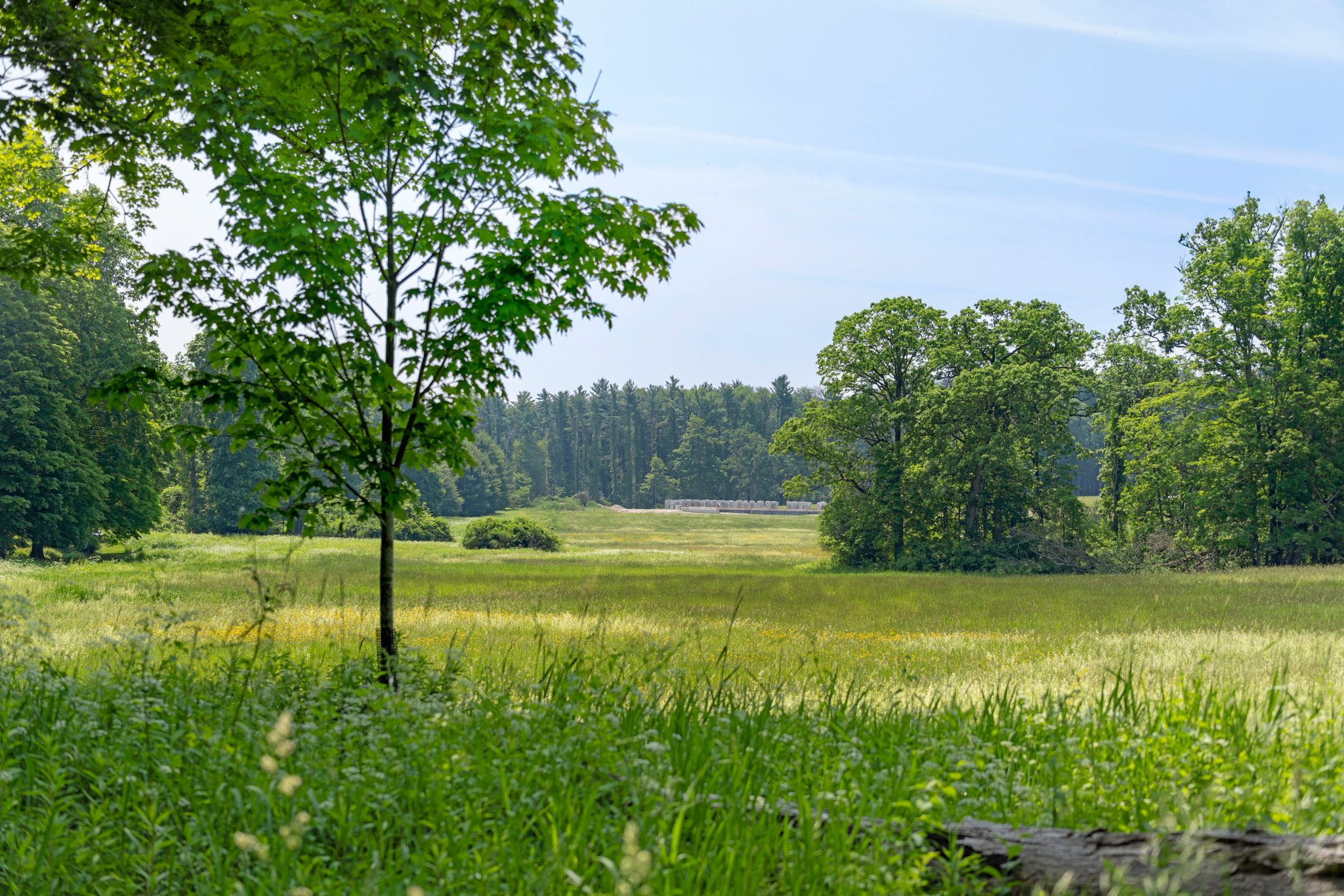  77 Beaver Dam Road - 物件實景