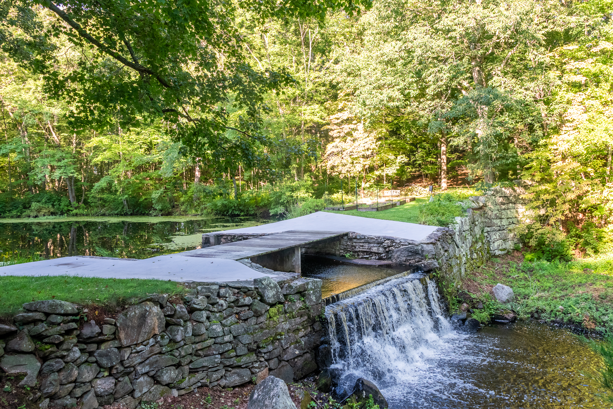 Secluded Country Oasis Nestled on 13 Acres of Privacy - 物件實景