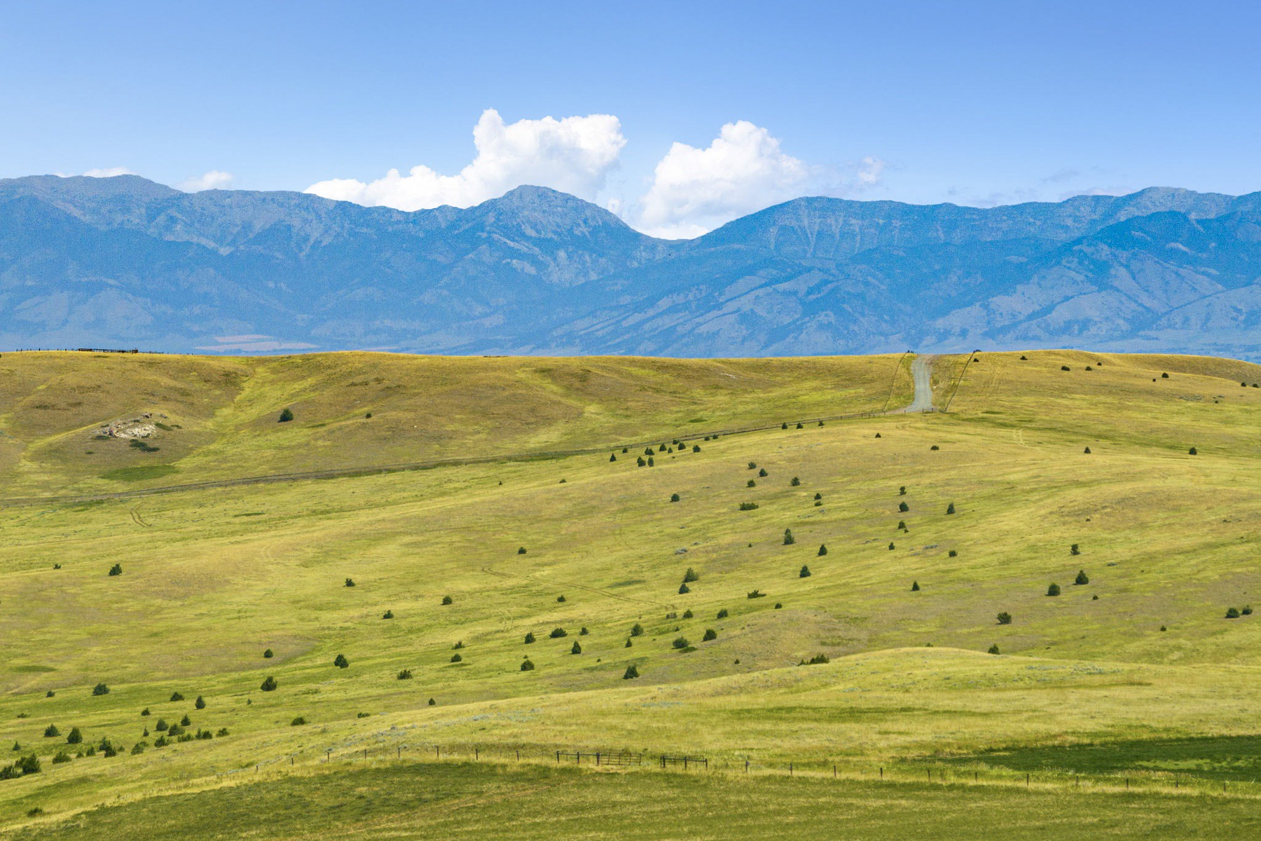  TBD Montana Ranch Tr - 物件實景