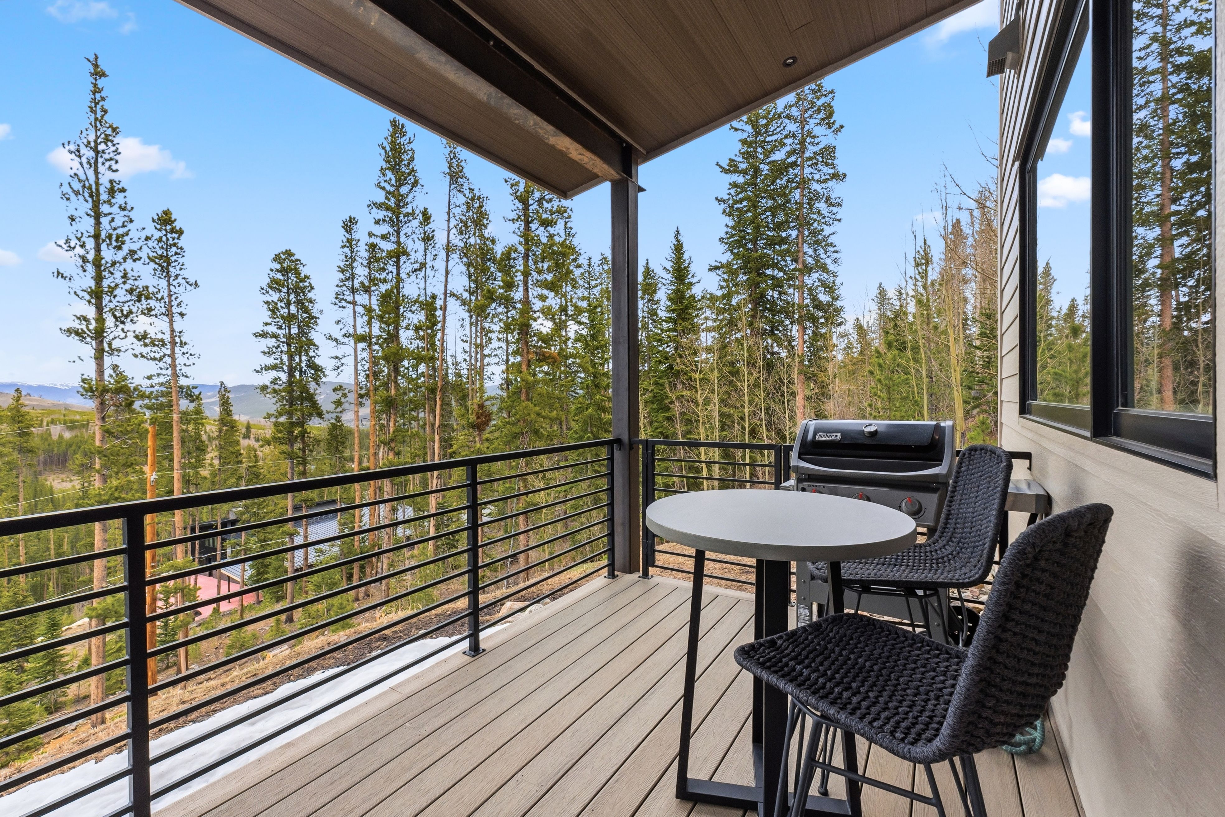  175 Protector Place, Breckenridge, CO, 80424 - 物件實景