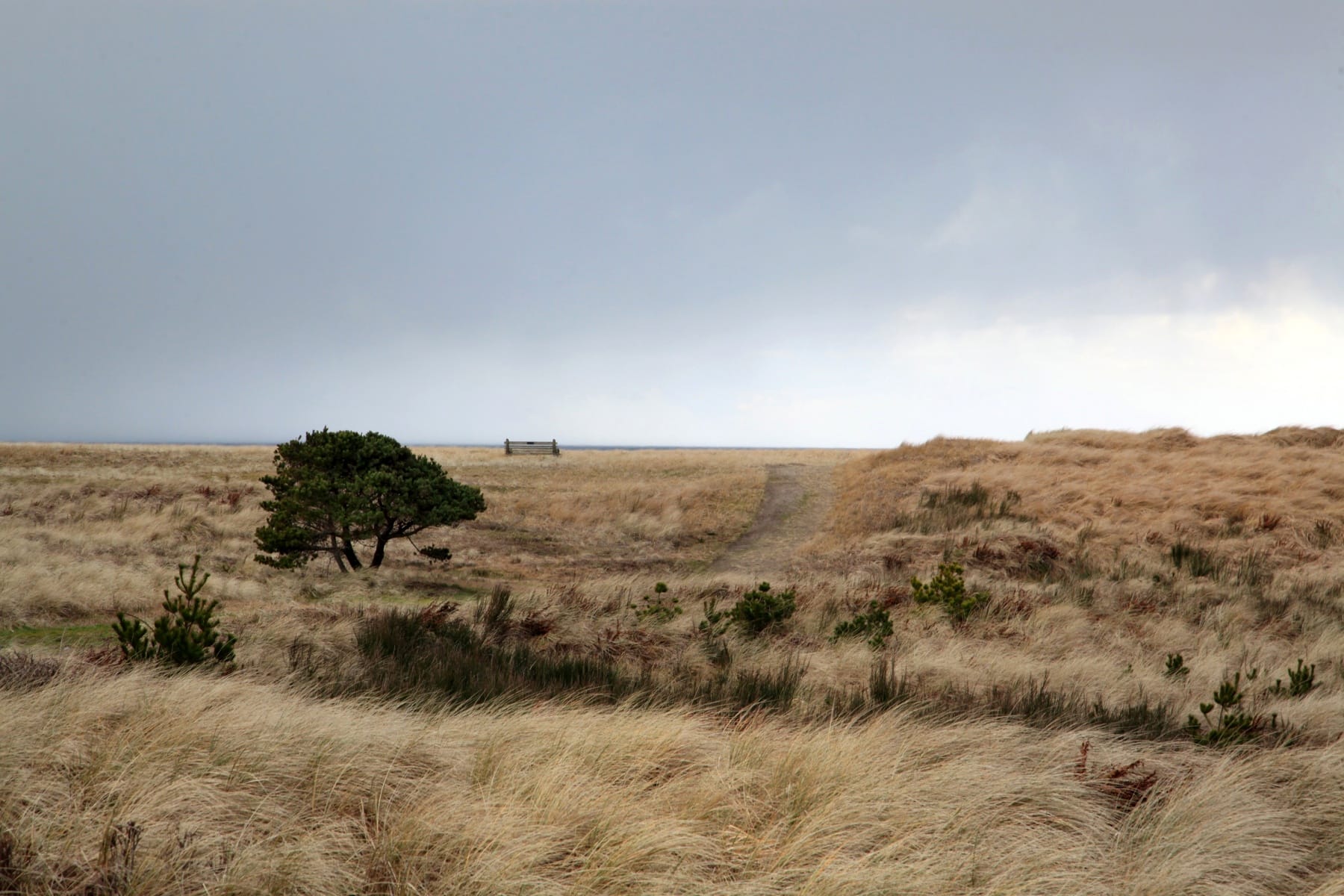  1146 N MARION AVE #680 Gearhart, OR 97138 - 物件實景