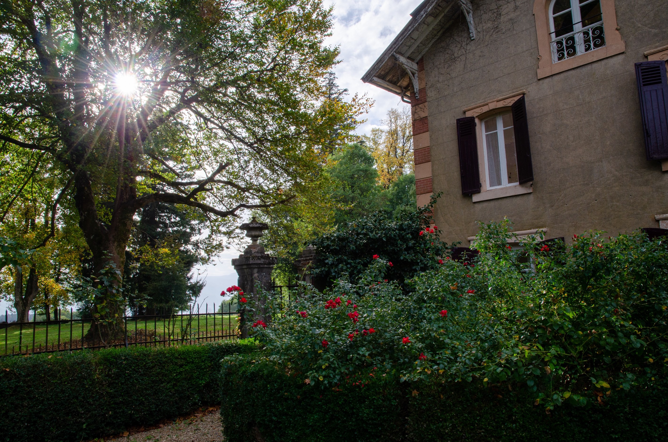  Maison de Maître and gîtes with a view of the Montagne Noire - 物件實景