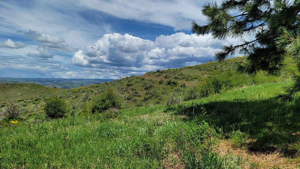 Council, Idaho, 83612, United States, 3 Bedrooms Bedrooms, ,2 BathroomsBathrooms,Residential,For Sale,1980798