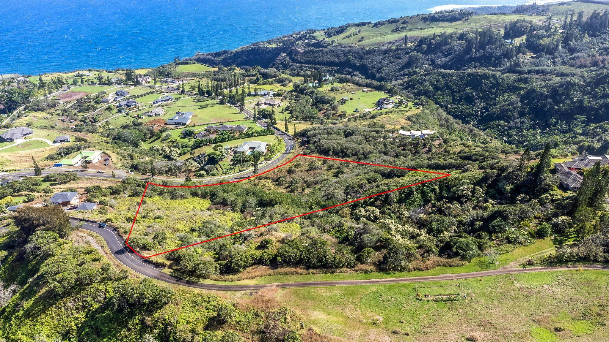 63 Lahaole Pl, Wailuku, Hawaii, 96793, United States, ,Land,For Sale,63 Lahaole Pl,1676772