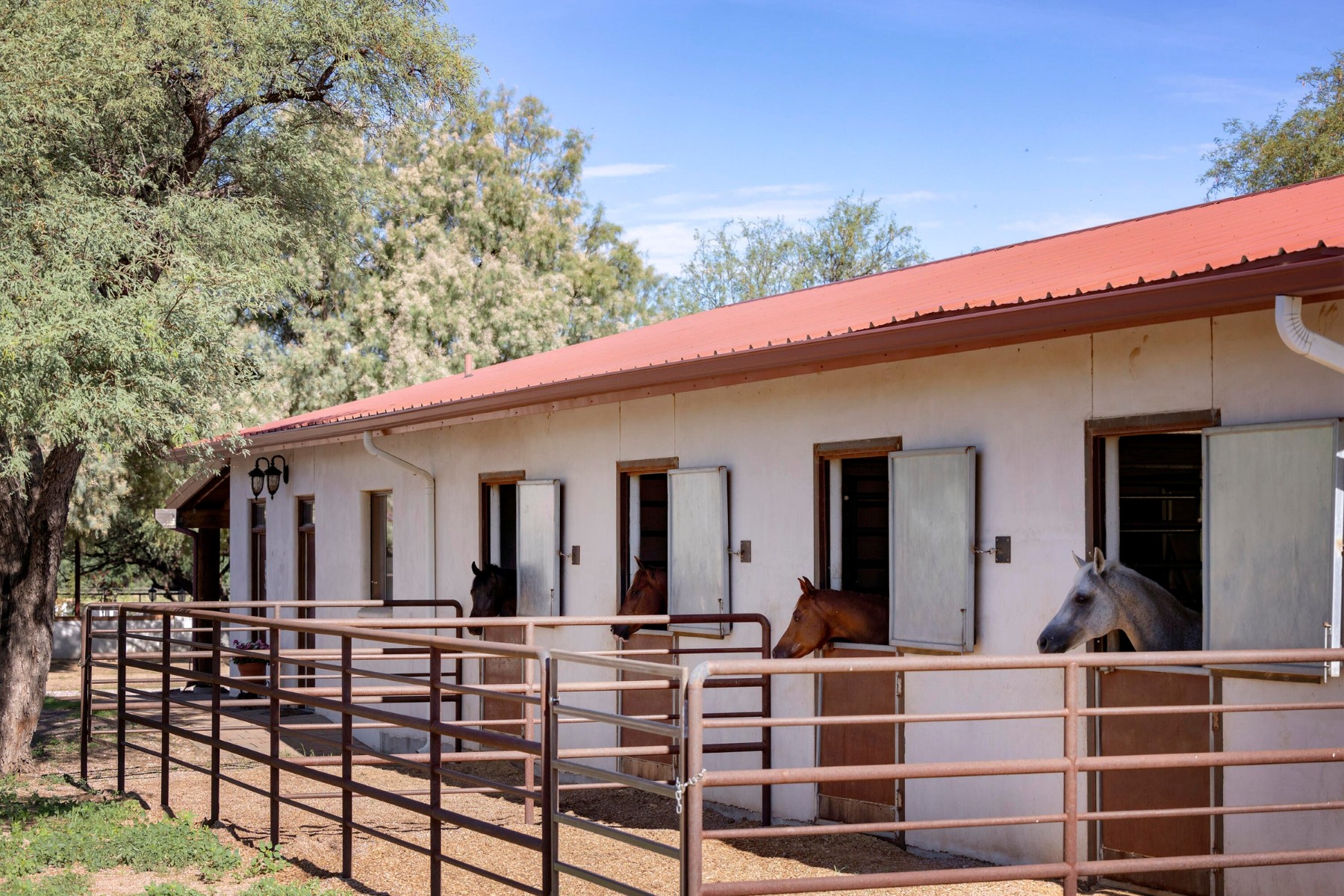  3155 W Elephant Head Road¦Amado, AZ - 物件實景
