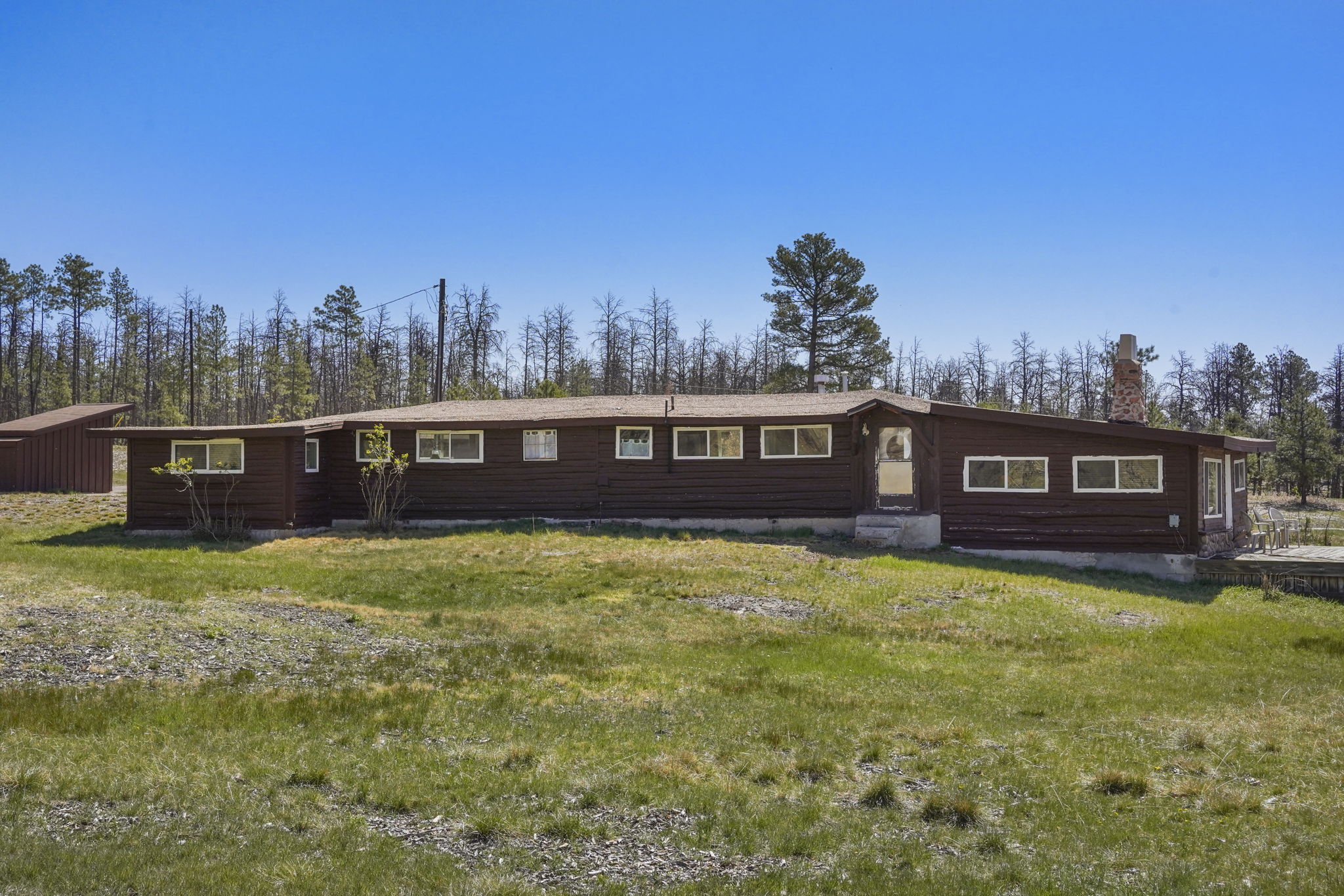  Phenomenal opportunity in Black Forest with tremendous Pikes Peak views - 物件實景