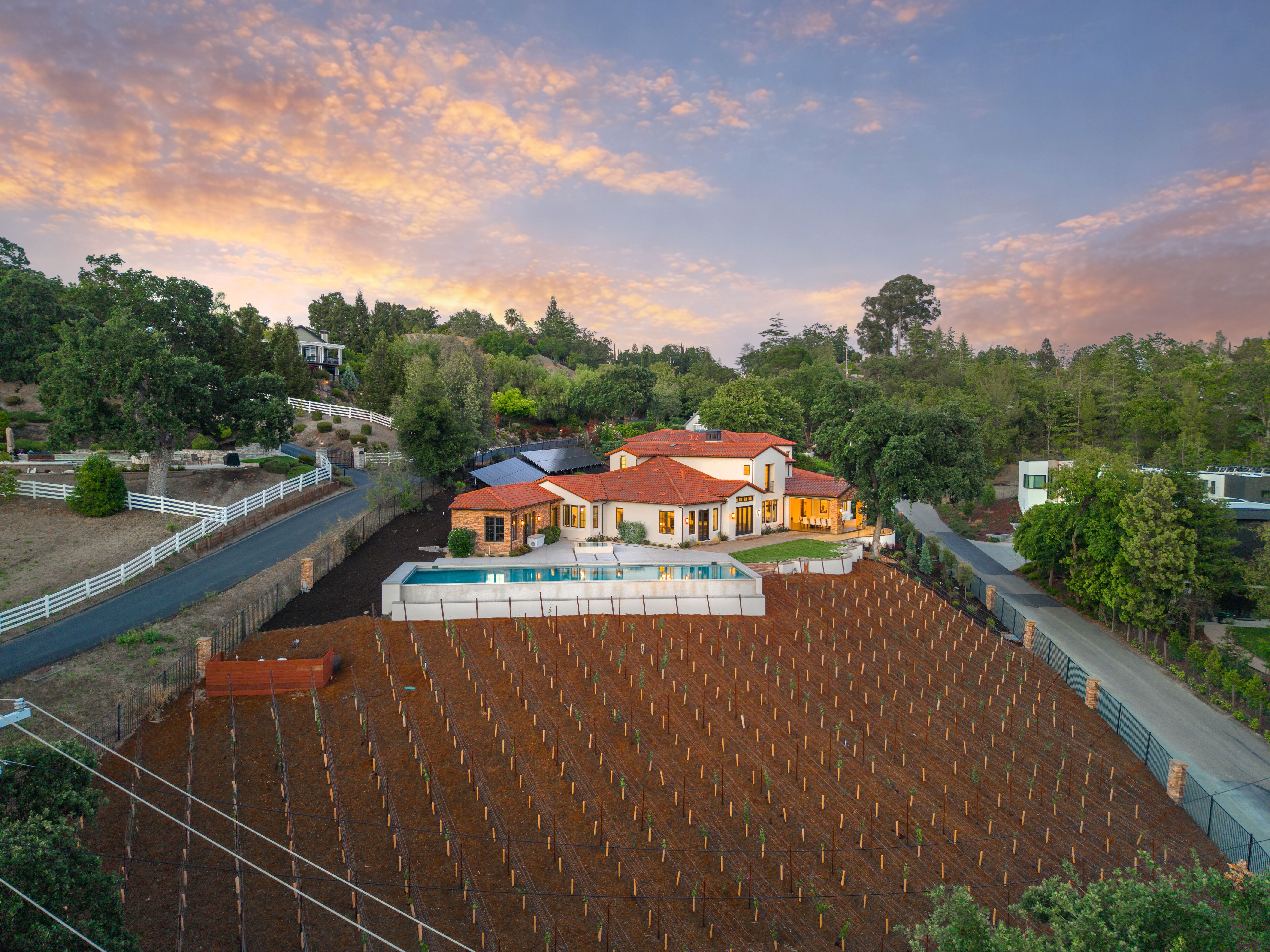  Grand Luxury Estate on 1.5± Acres with Vineyard and Infinity Pool - 物件實景