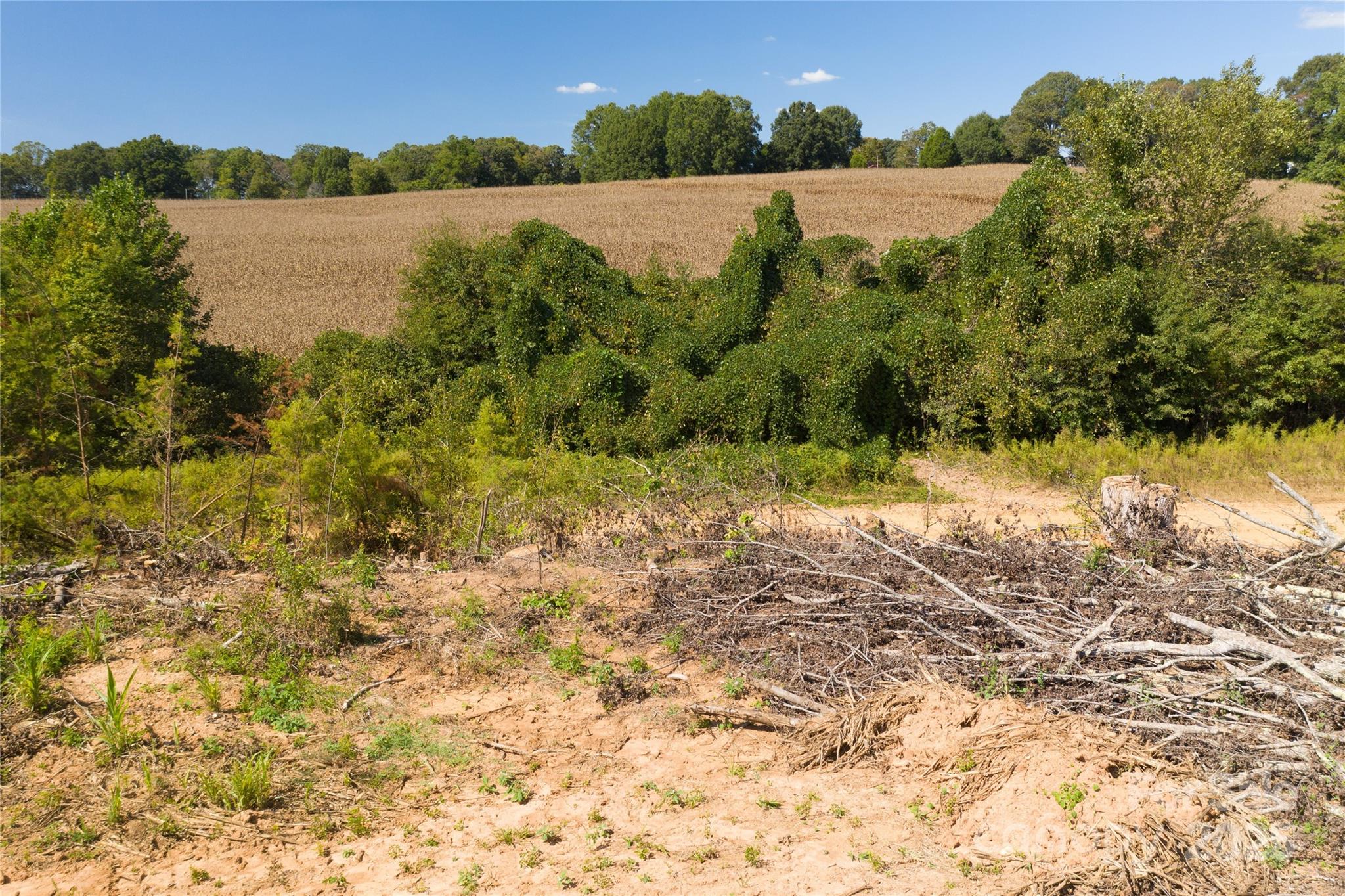 Statesville, North Carolina, 28677, United States, ,Land,For Sale,1848367