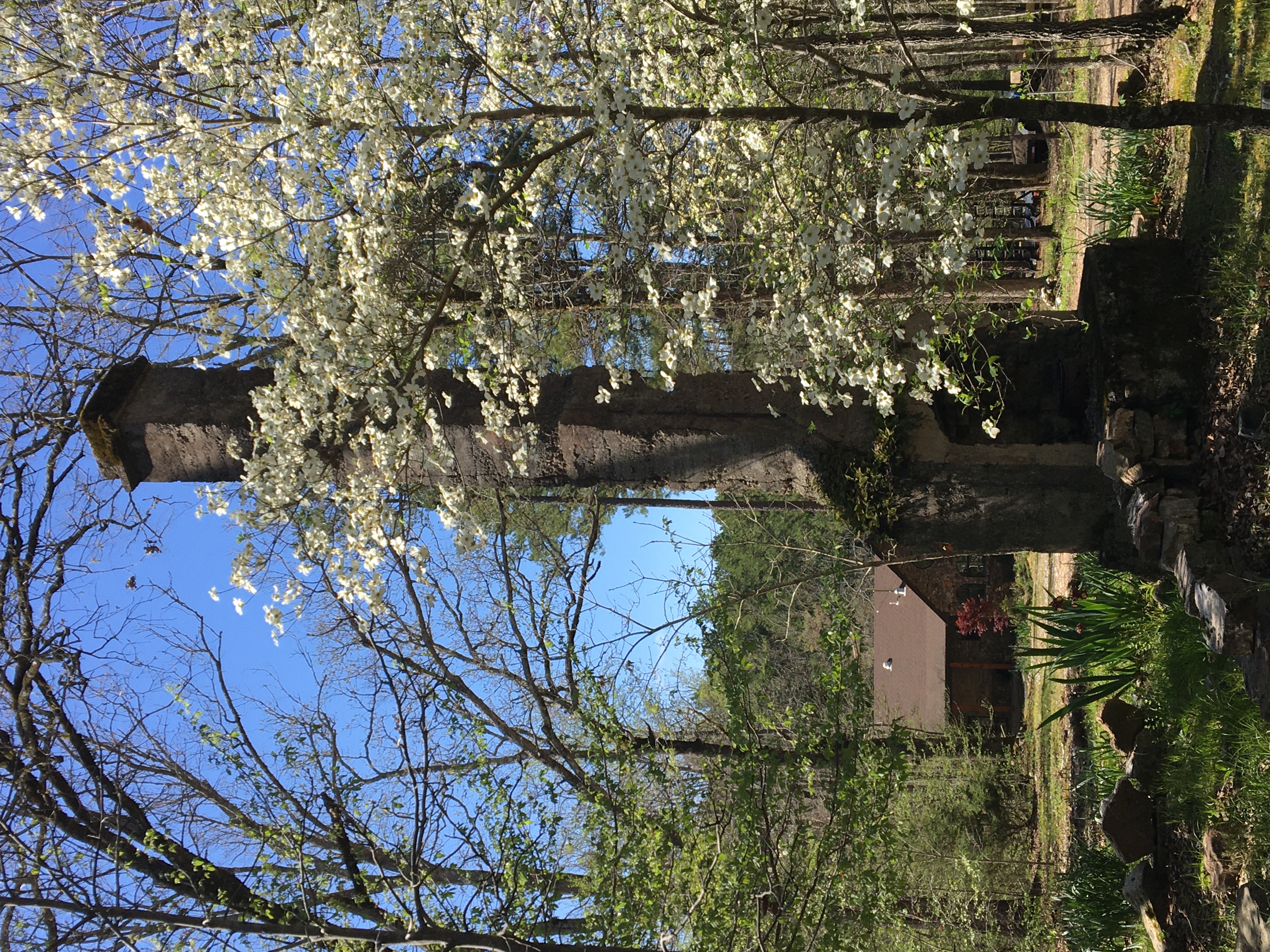 Mena, Arkansas, 71953, United States, 3 Bedrooms Bedrooms, ,3 BathroomsBathrooms,Residential,For Sale,1979119